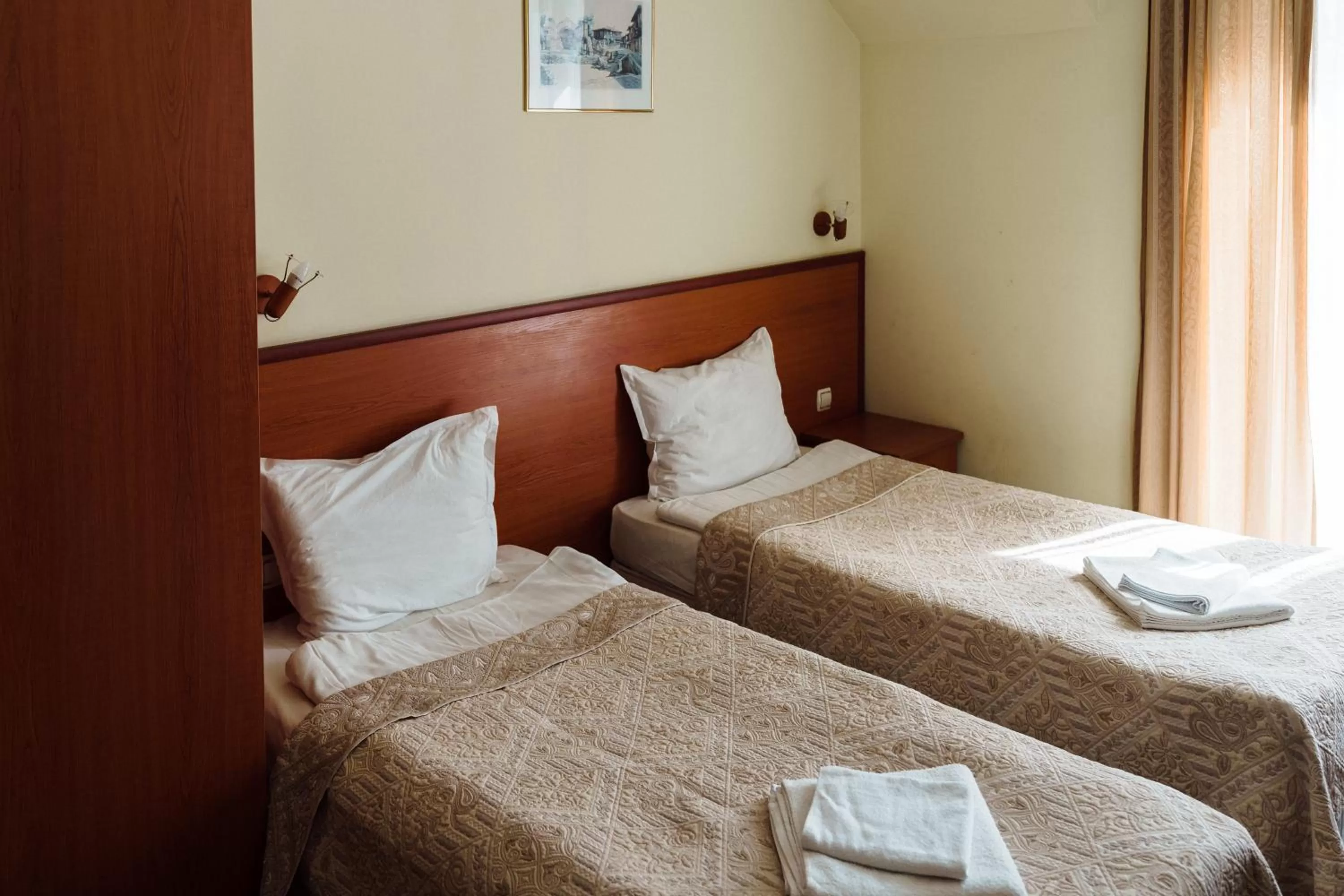 Twin Room with Balcony in Dionis Hotel