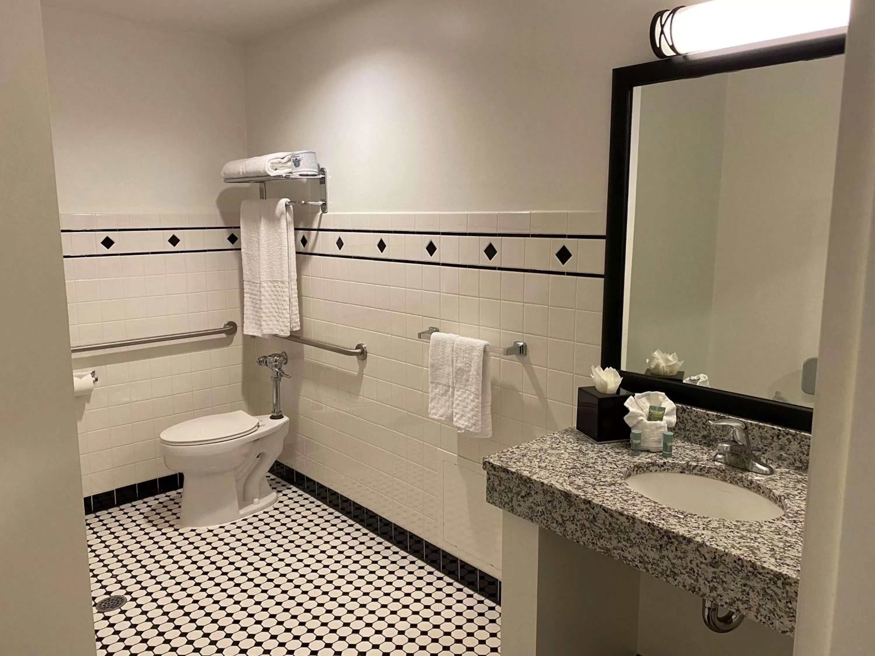 Deluxe King Suite with Roll-In Shower - Disability Access in Best Western Chicago Downtown-River North