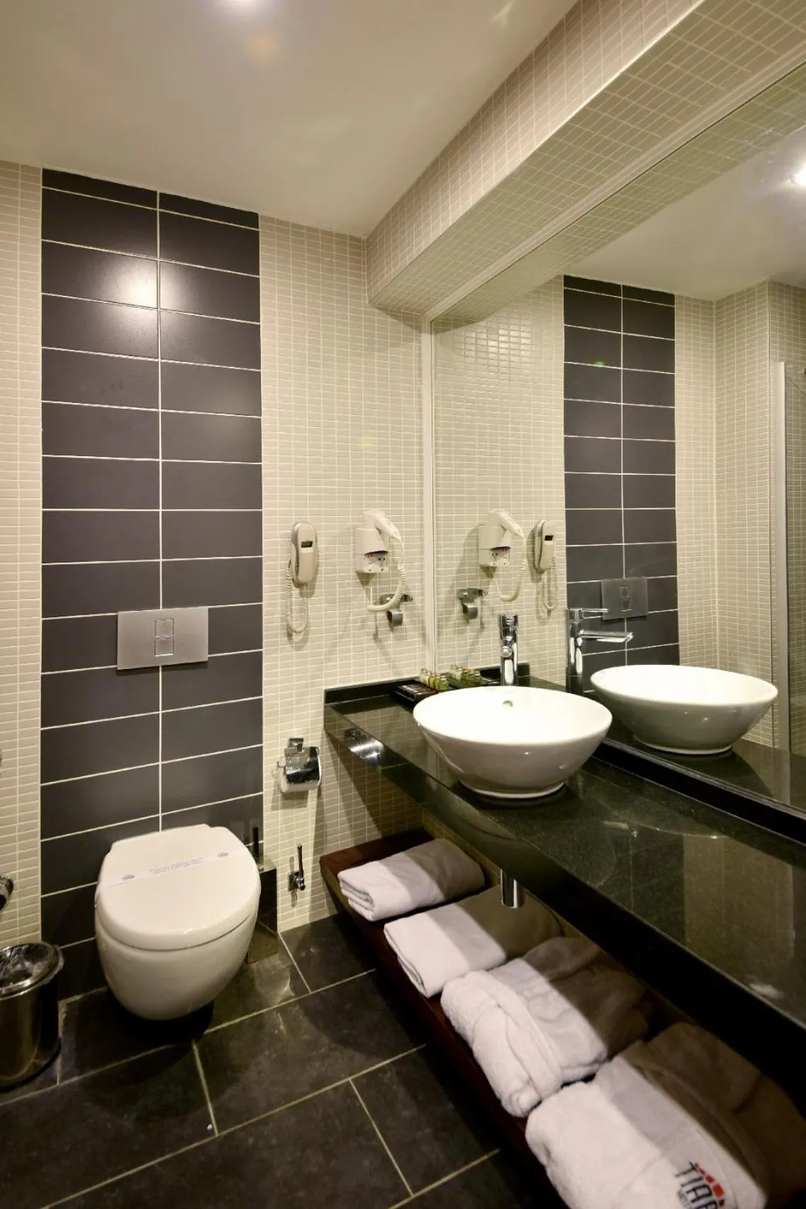Executive Room with Spa Bath          in Tiara Thermal & SPA Hotel