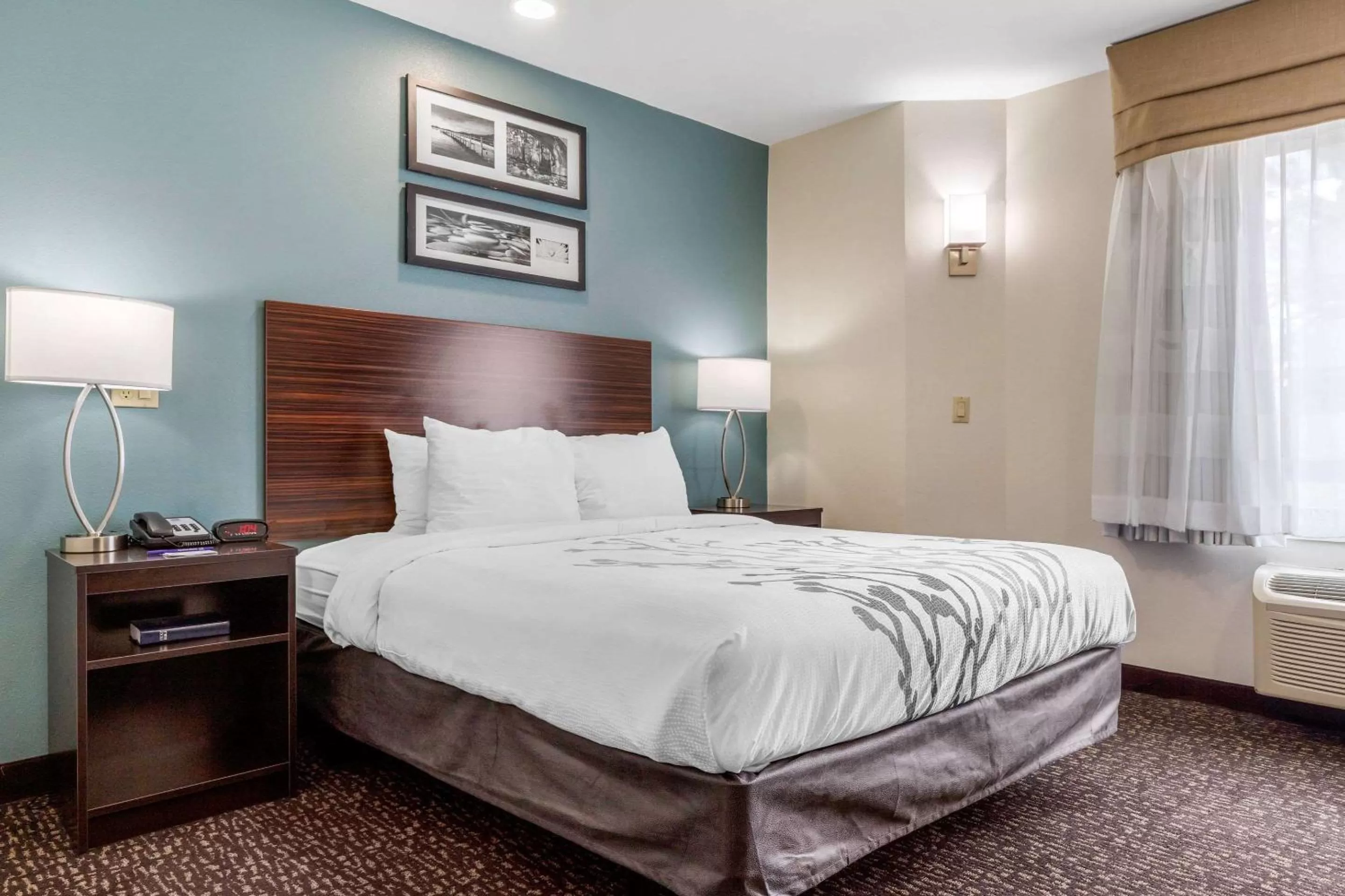 Queen Room - Disability Access/Non-Smoking in Sleep Inn & Suites