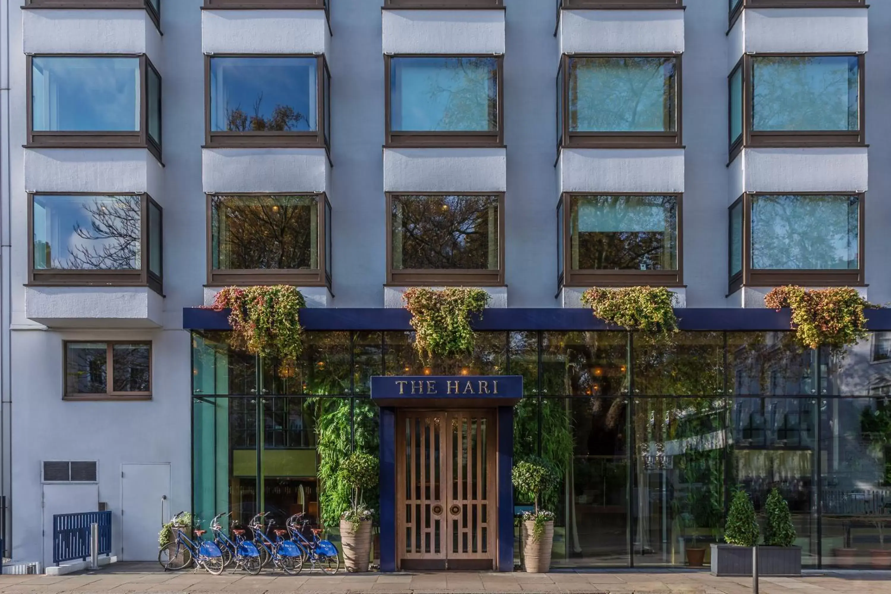 The Hari London The Hari London