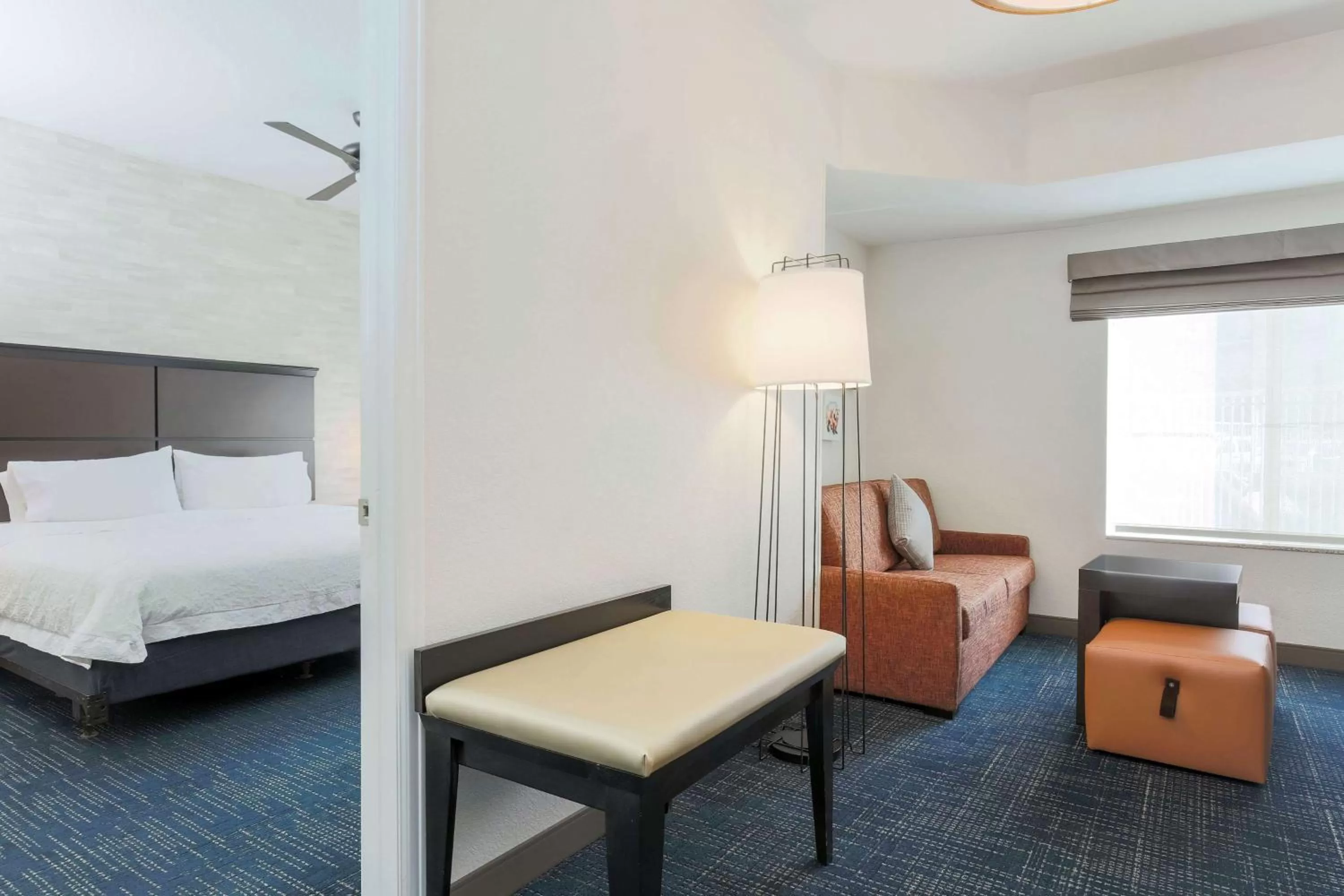 King Studio Suite - Mobility Accessible/Non-Smoking in Hampton Inn & Suites Denver Tech Center