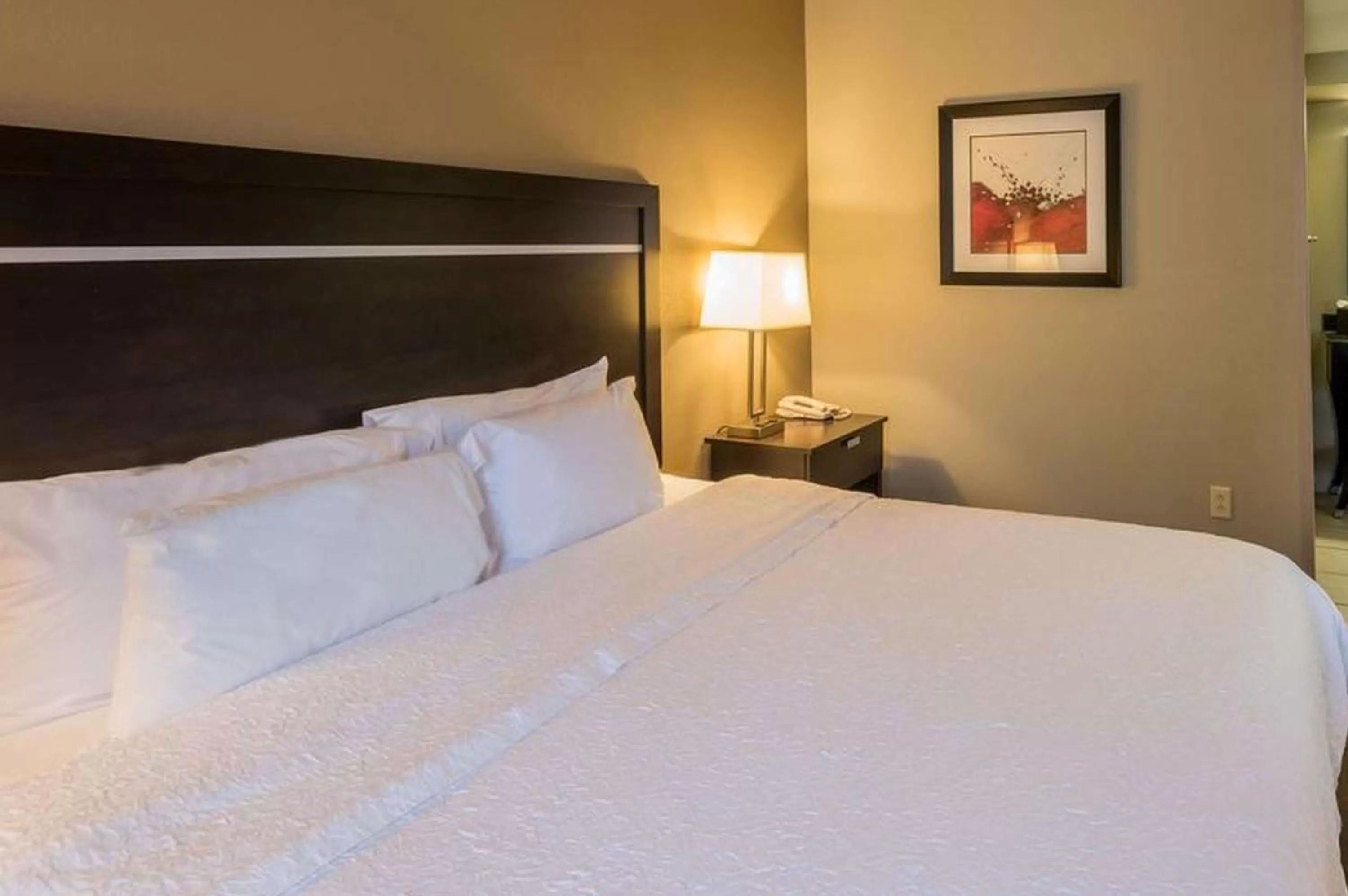 King Room with Sofa Bed - Hearing Accessible/Non-Smoking in Hampton Inn New Albany