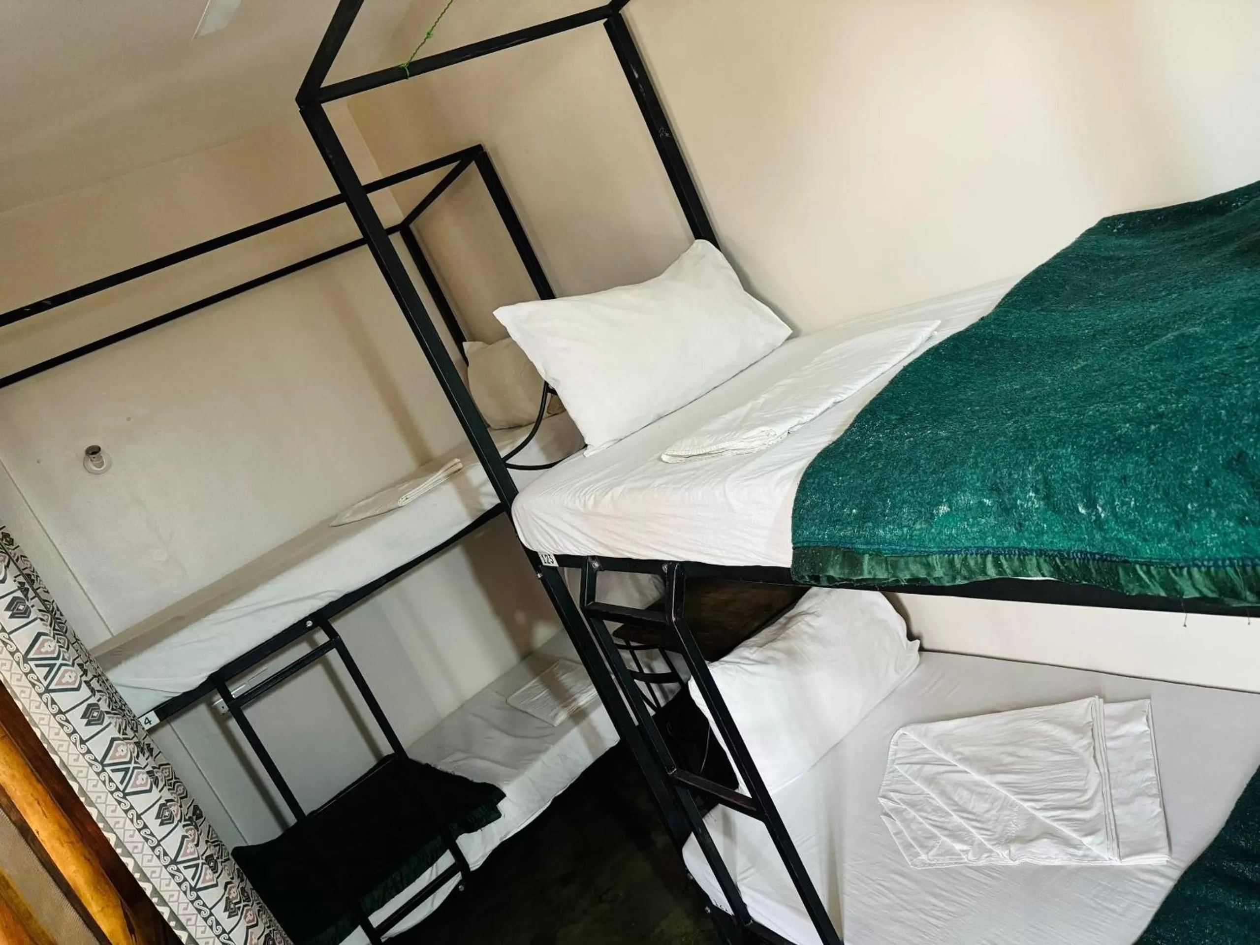 Bed in 4-Bed Mixed Dormitory Room in Arusha Backpackers Hotel