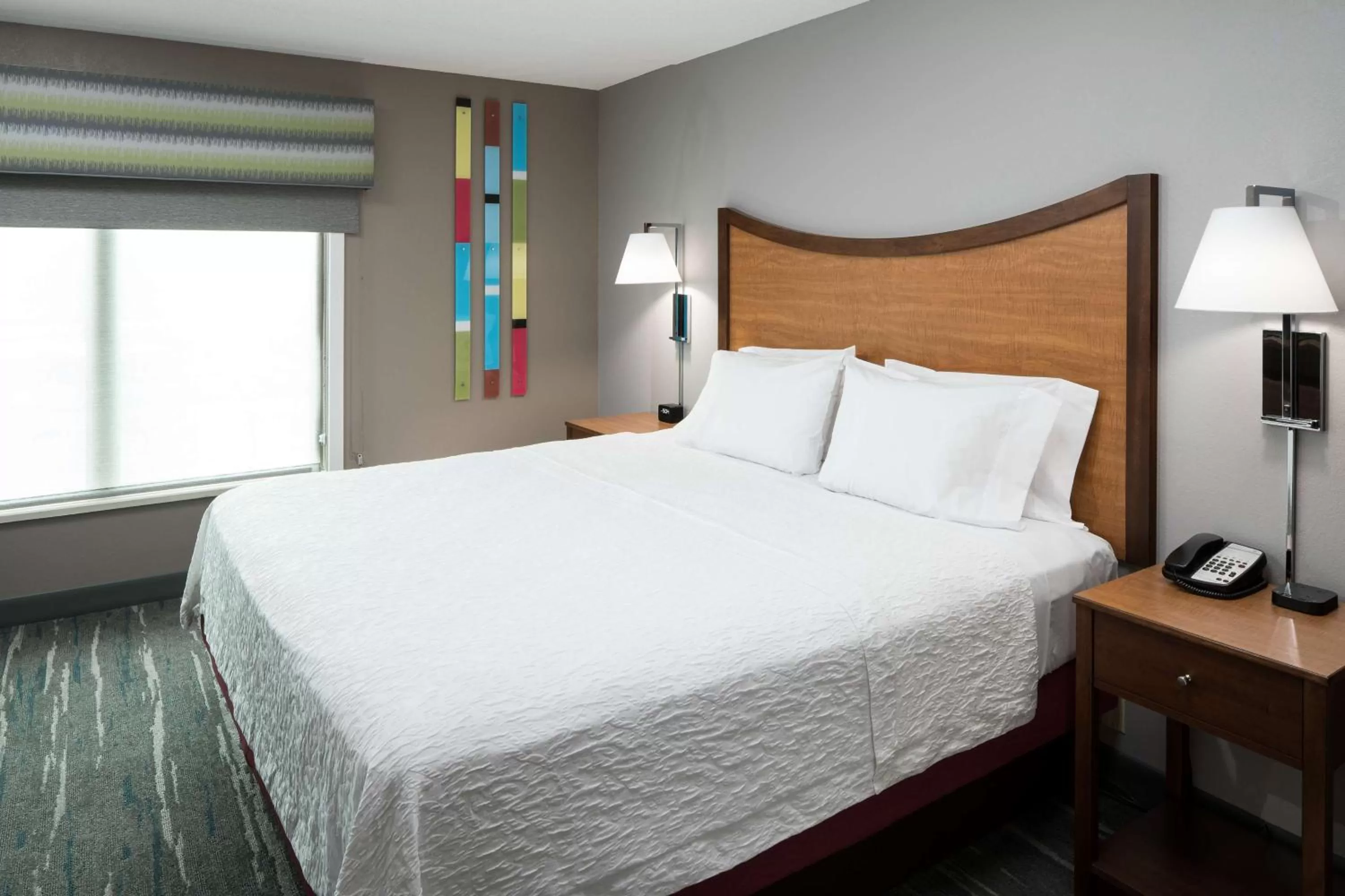 One-Bedroom King Suite with Whirlpool - Non-Smoking  in Hampton Inn & Suites Chicago North Shore