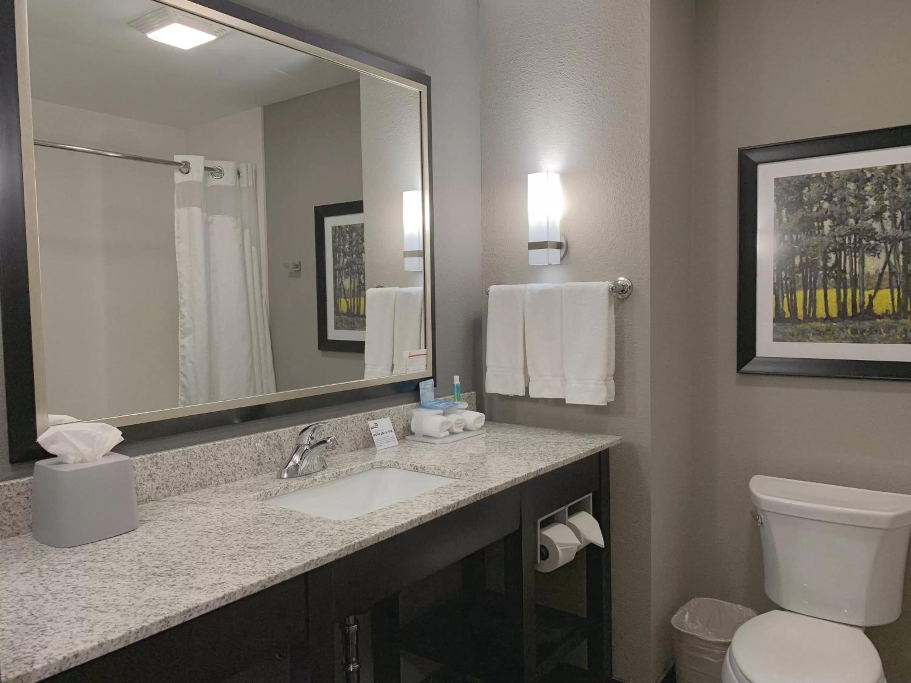 One Bedroom King Suite with Sofa Bed - Non-Smoking in Holiday Inn Express and Suites Madison Central by IHG