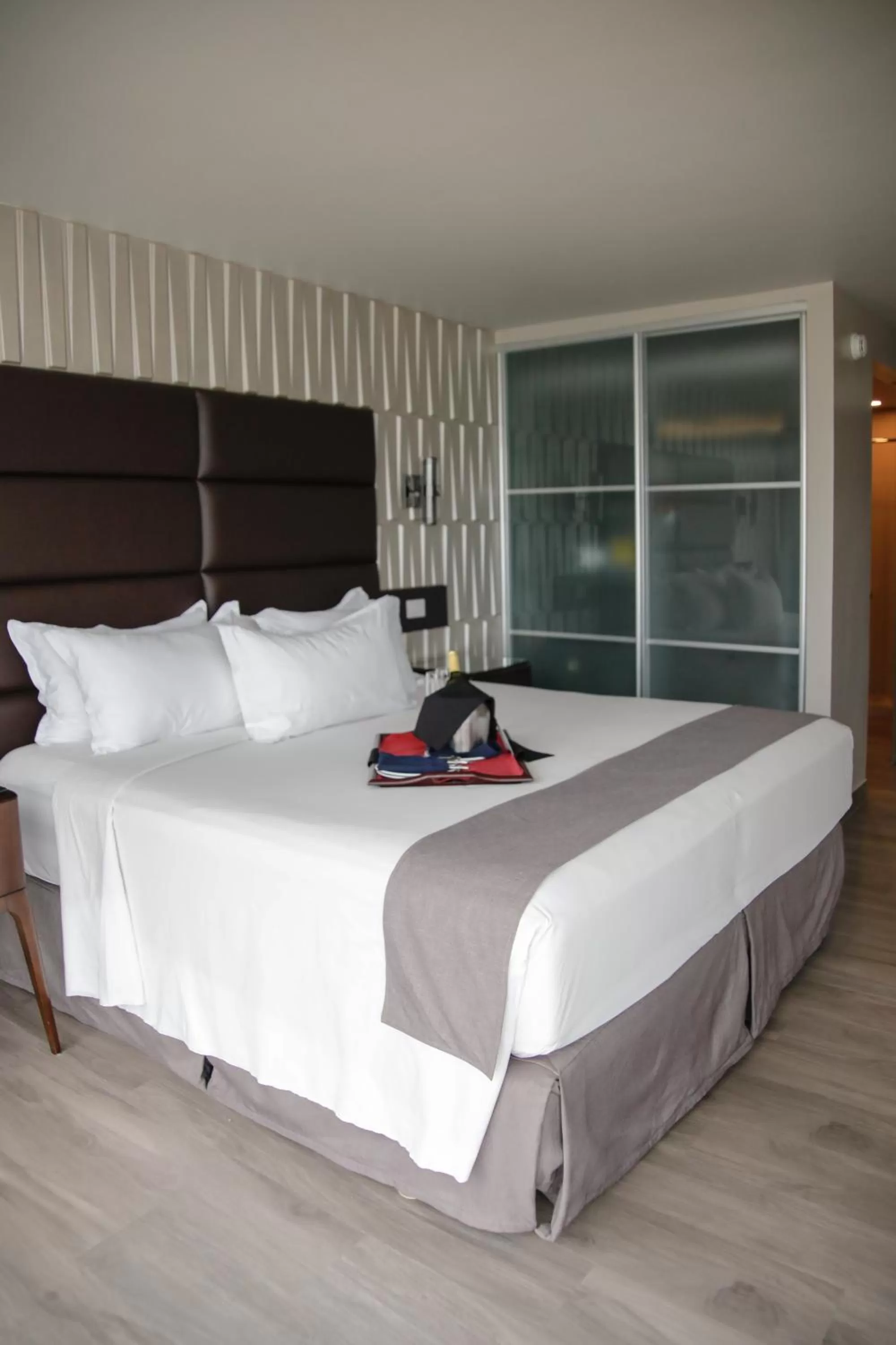 Superior King Room in Plaza Paitilla Inn