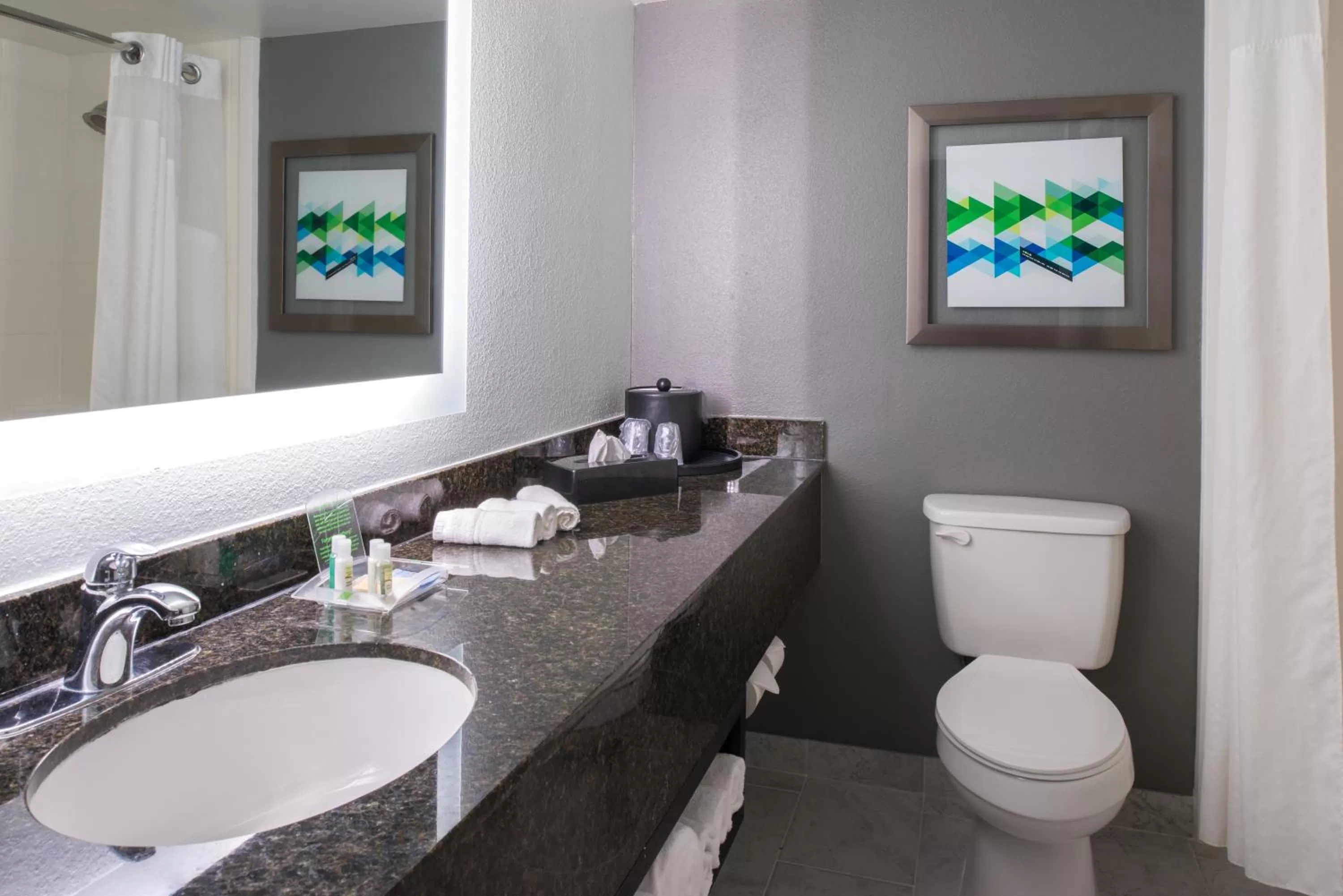 One-Bedroom Suite in Holiday Inn Hotel and Suites Beaumont-Plaza I-10 & Walden by IHG