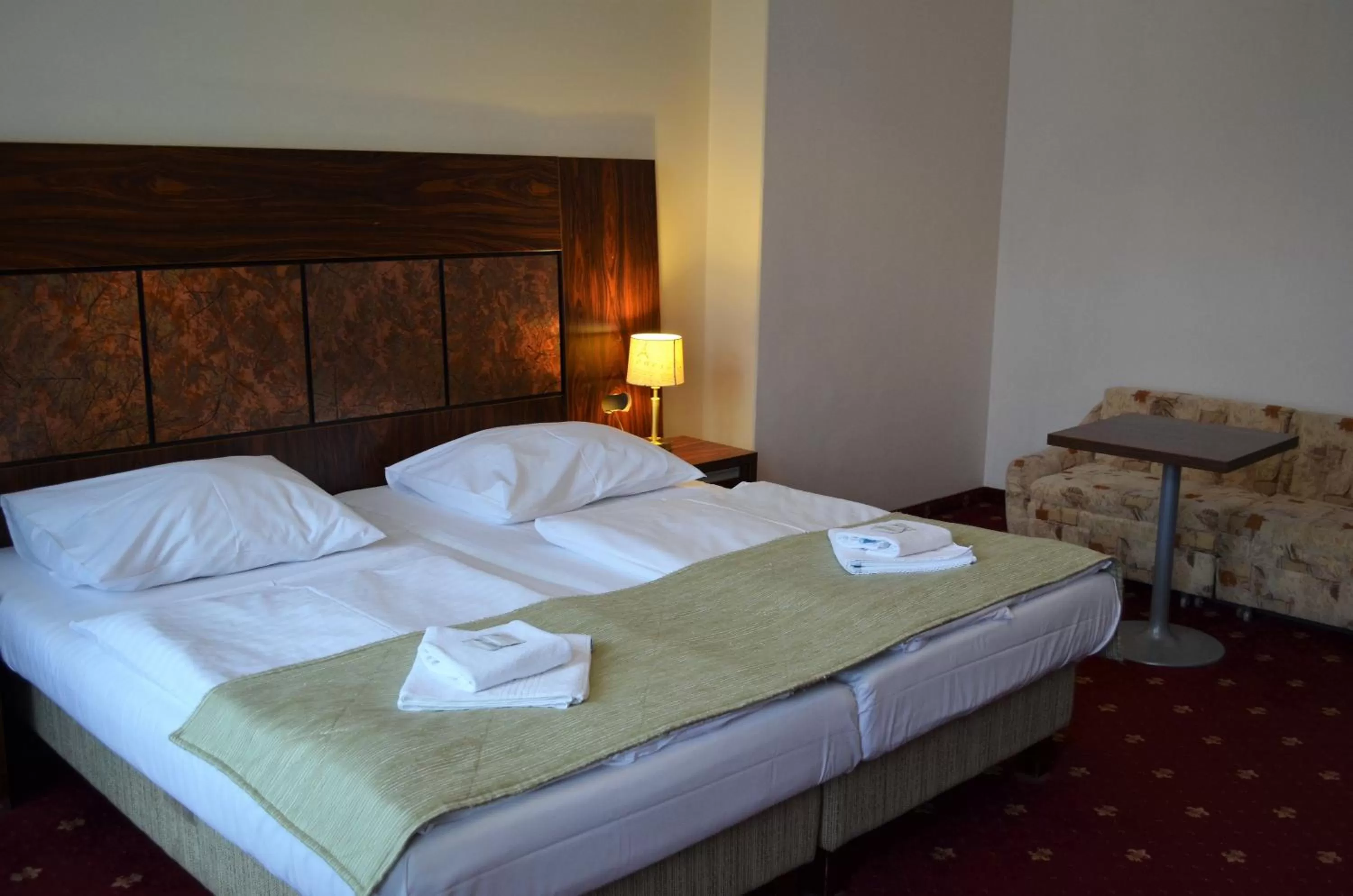 Superior Double Room in Hotel Palacky