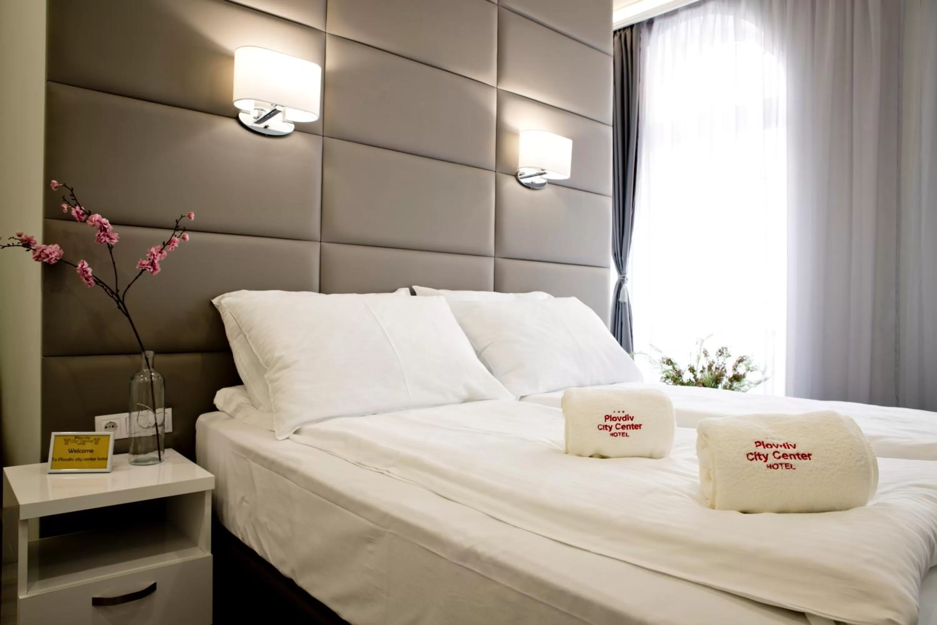 Double or Twin Room in Plovdiv City Center Hotel