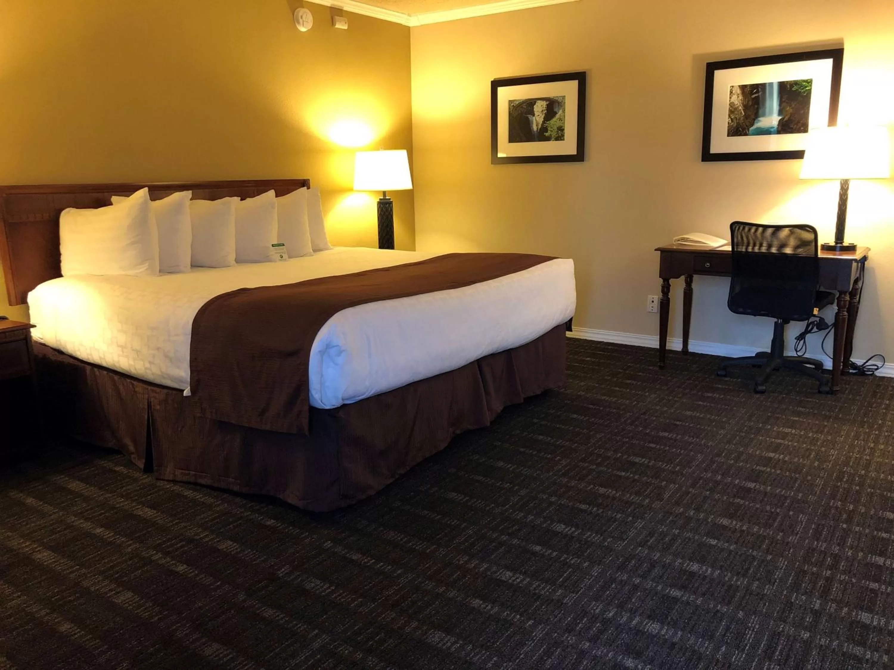 Deluxe King Room in Best Western Lakewood- Historic Landmark