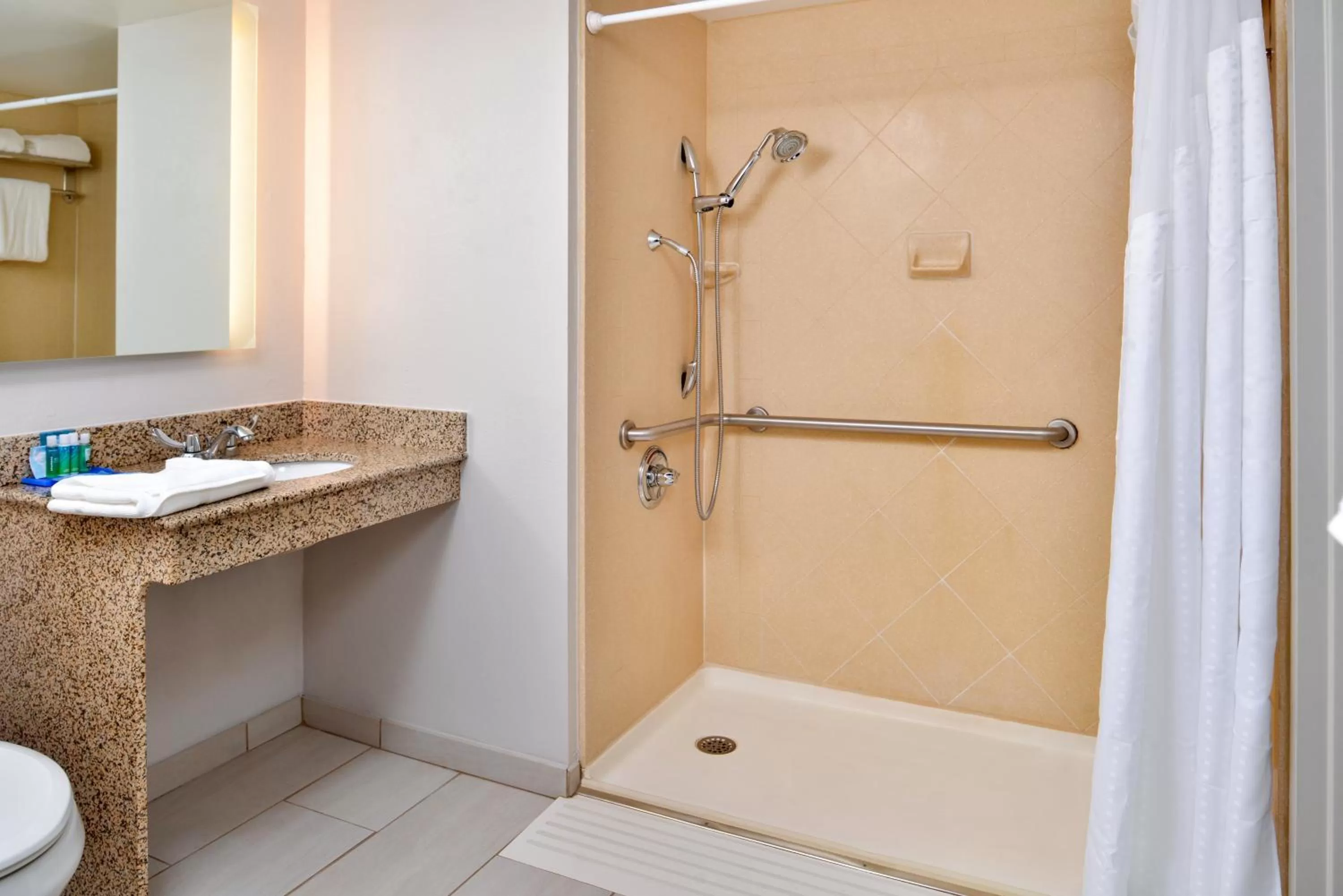 Queen Suite with Roll-In Shower - Disability Access in Holiday Inn Express & Suites Buffalo Downtown by IHG