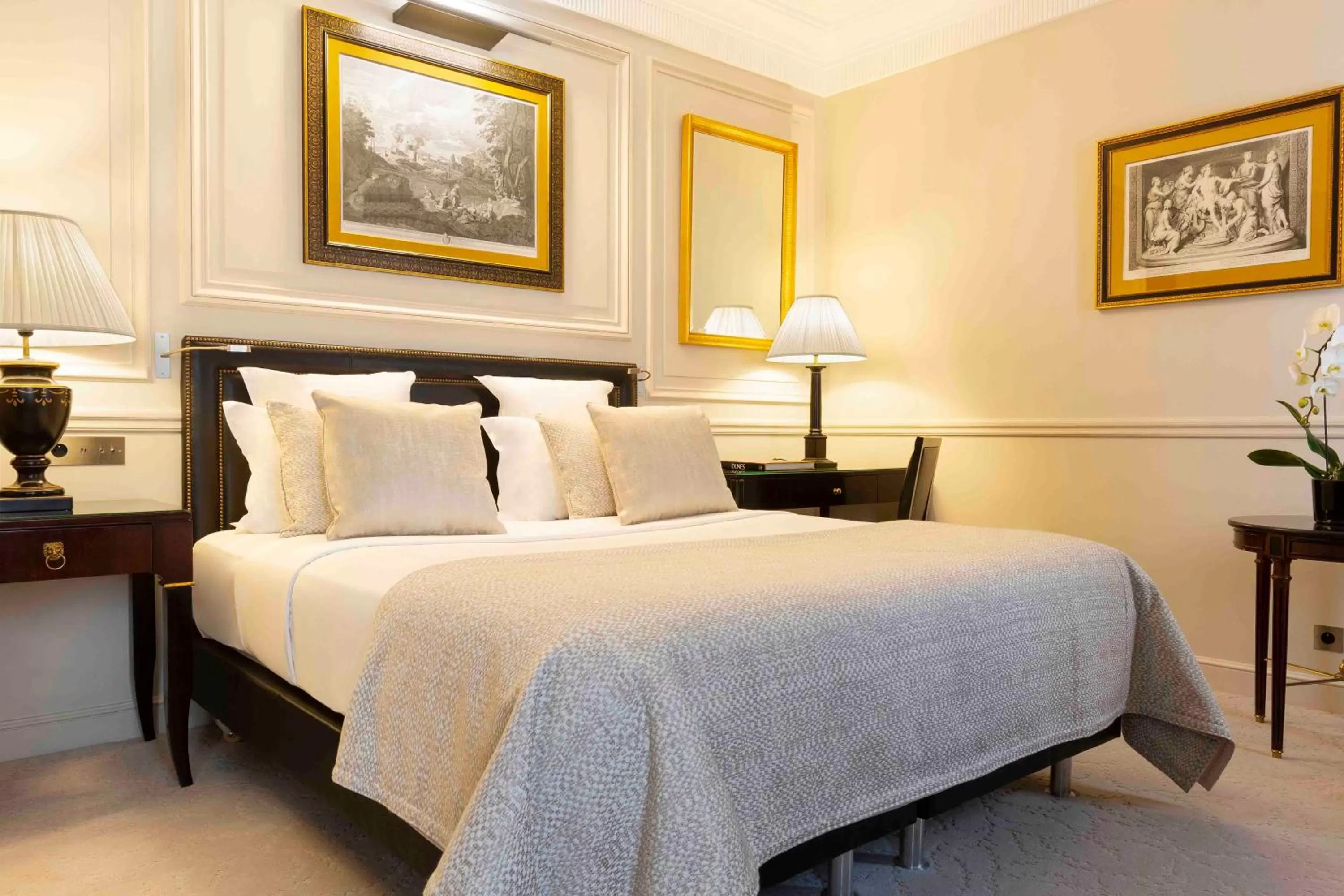 Superior Double Room in Francois 1er