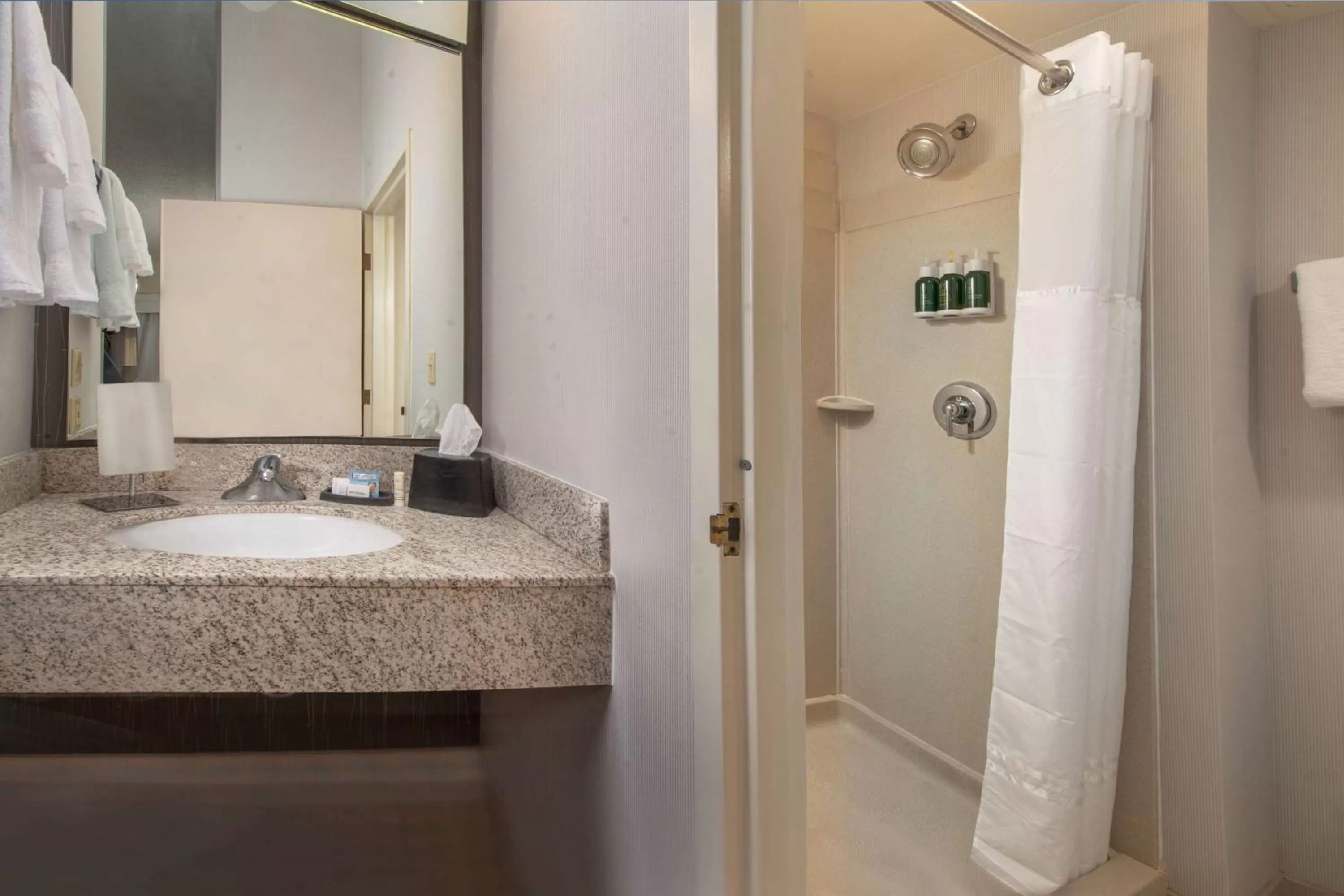 Deluxe King with Roll-In Shower - Mobility/Hearing Accessible in Sonesta Select Allentown Bethlehem Airport