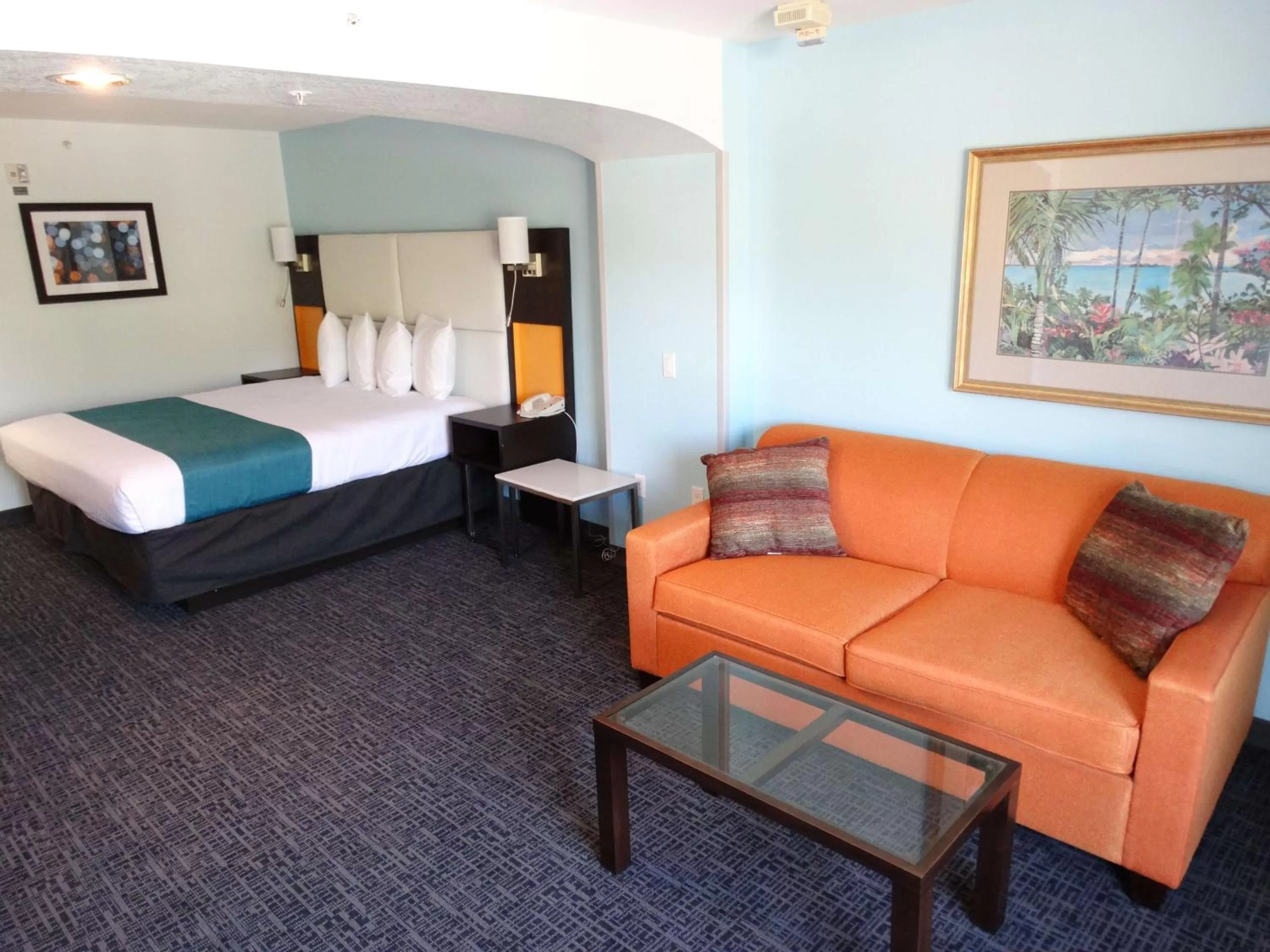 King Room with Roll-in Shower - Disability Access/Non-Smoking in Best Western Plus Orlando Lake Buena Vista South Inn & Suites