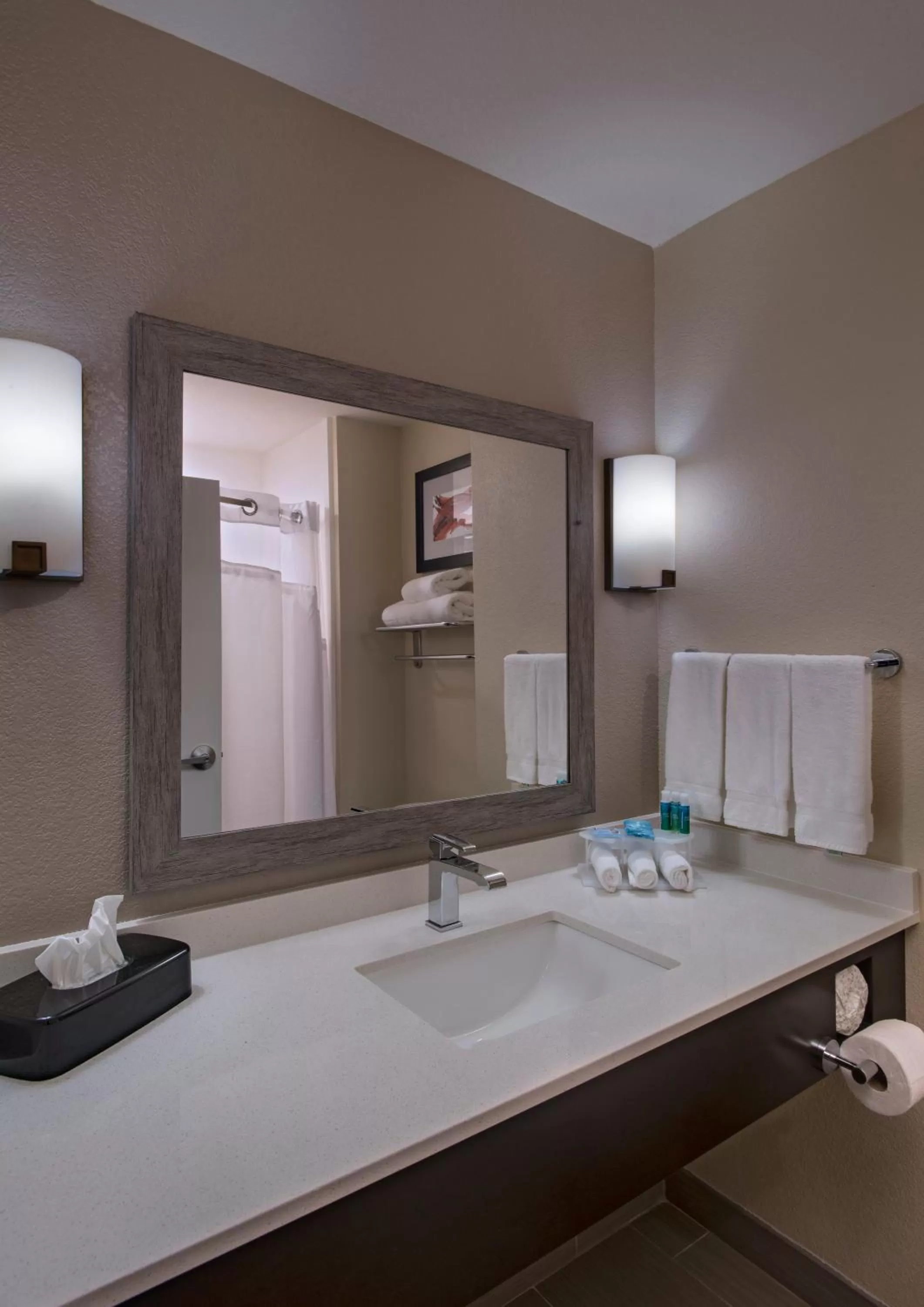 Standard King Room in Holiday Inn Express & Suites Austin NW - Four Points by IHG