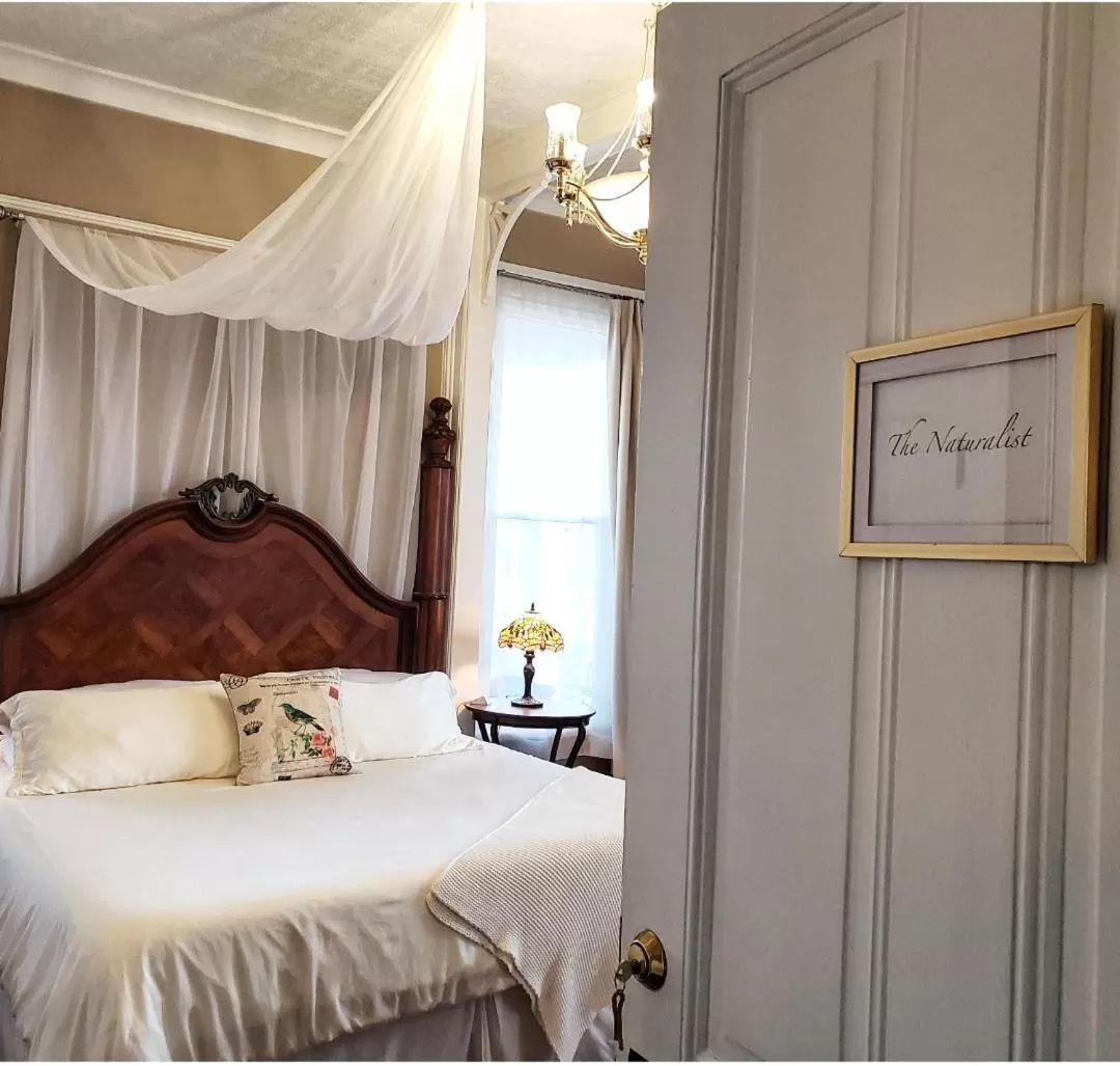 King Room with Mountain View in South Court Inn