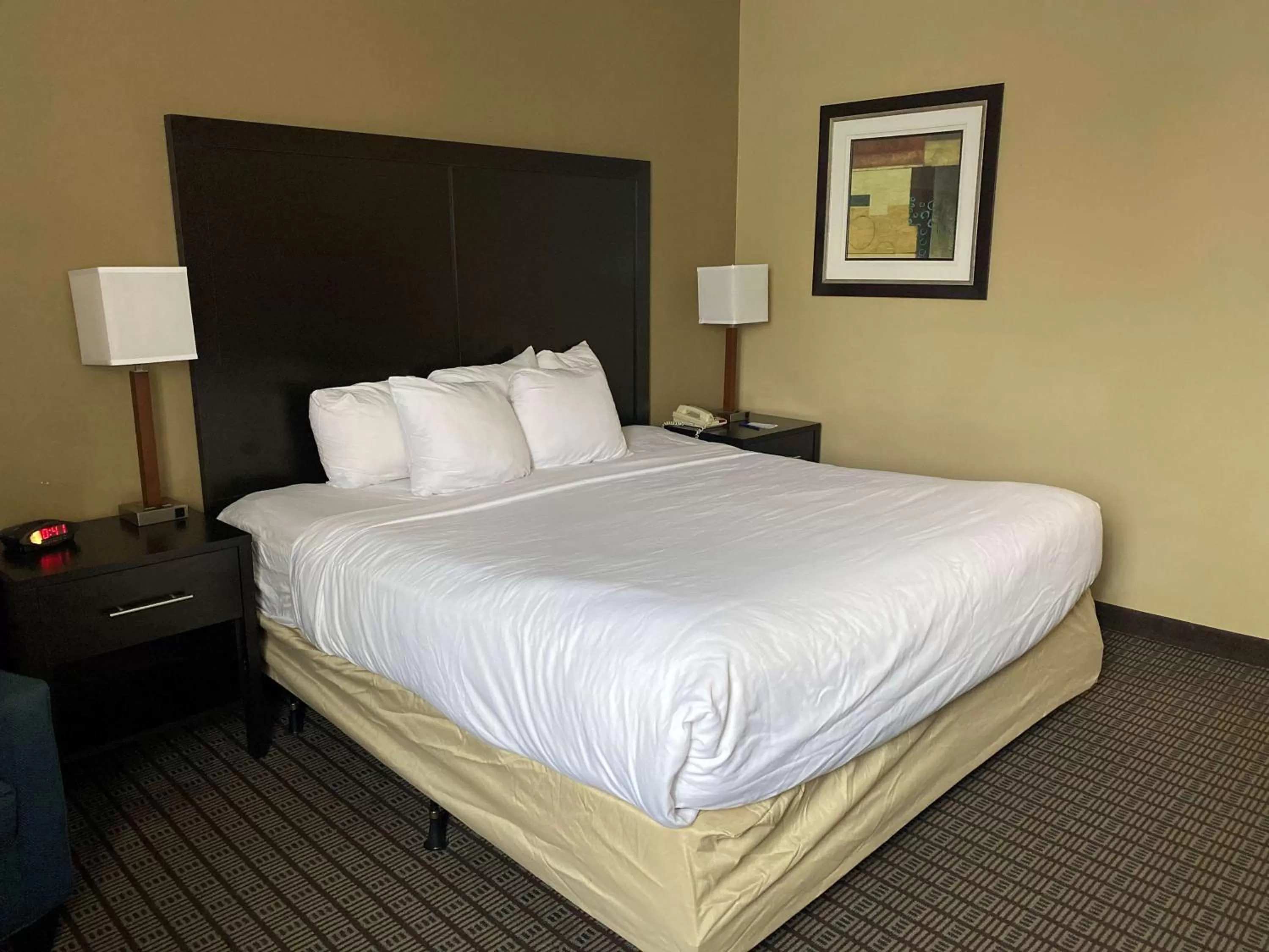 King Room in SureStay Plus by Best Western Jonestown Lebanon Valley