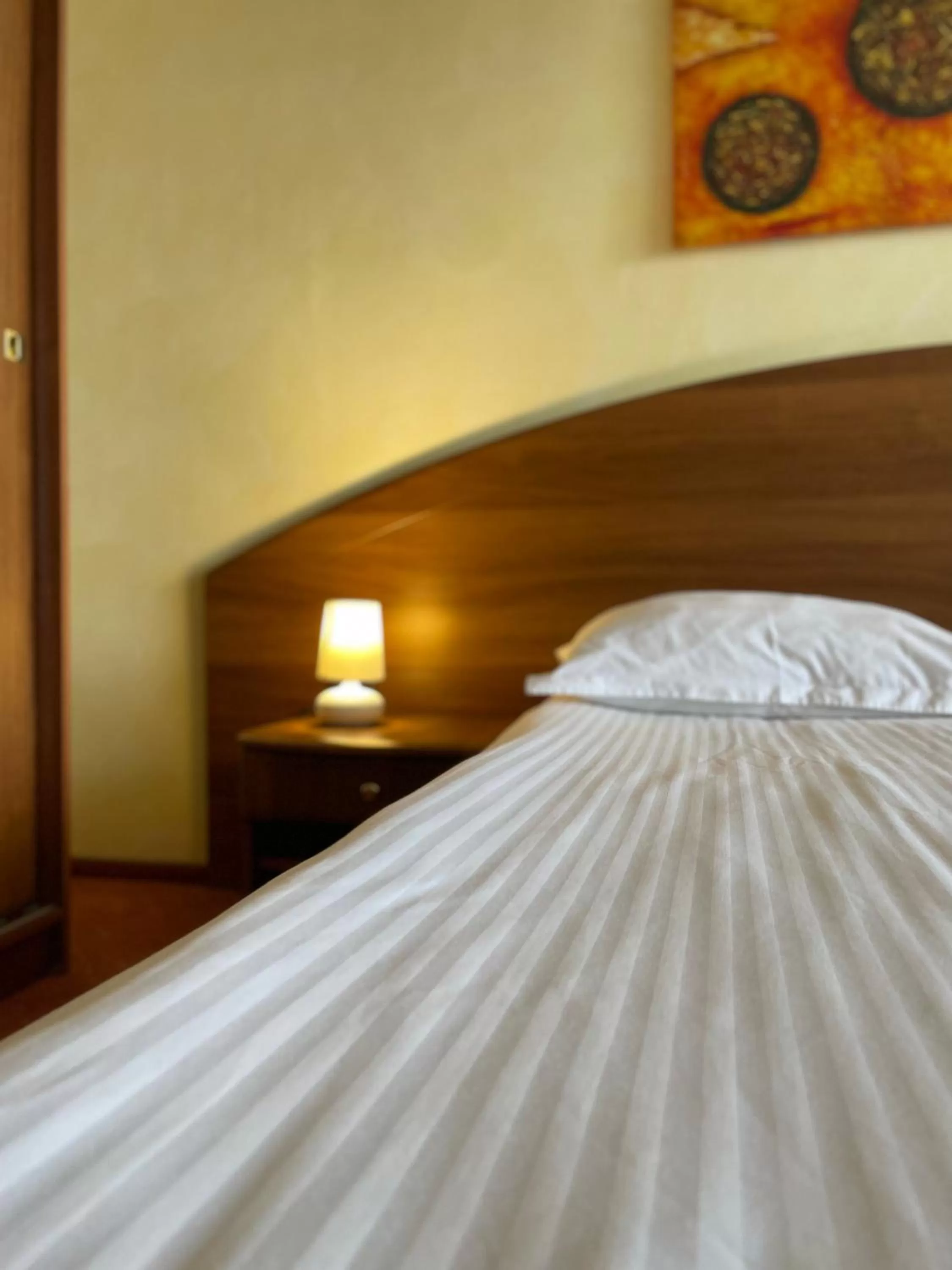 Budget Double or Twin Room in Hotel FAN Sebes