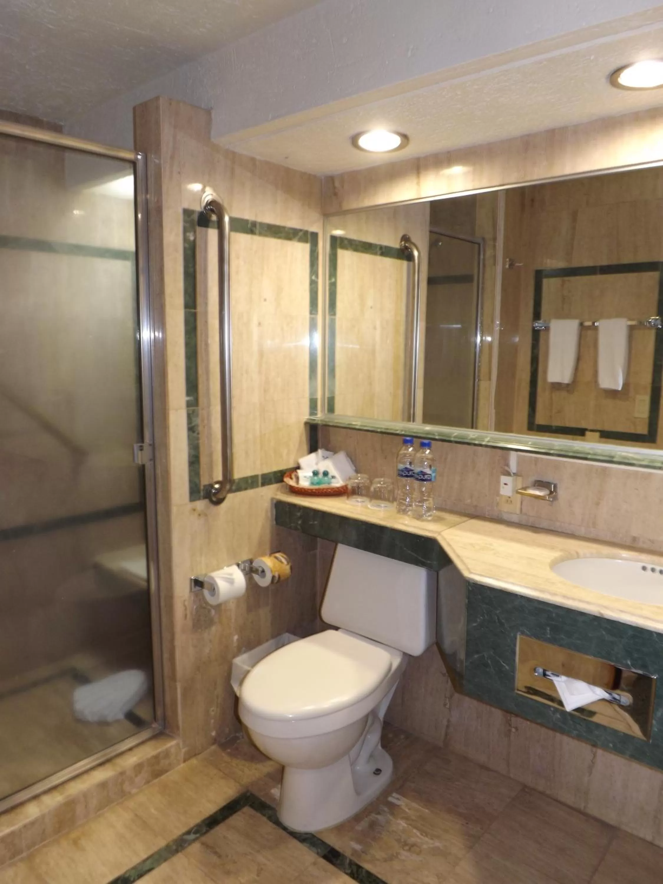 Deluxe Queen Room in Pedregal Palace