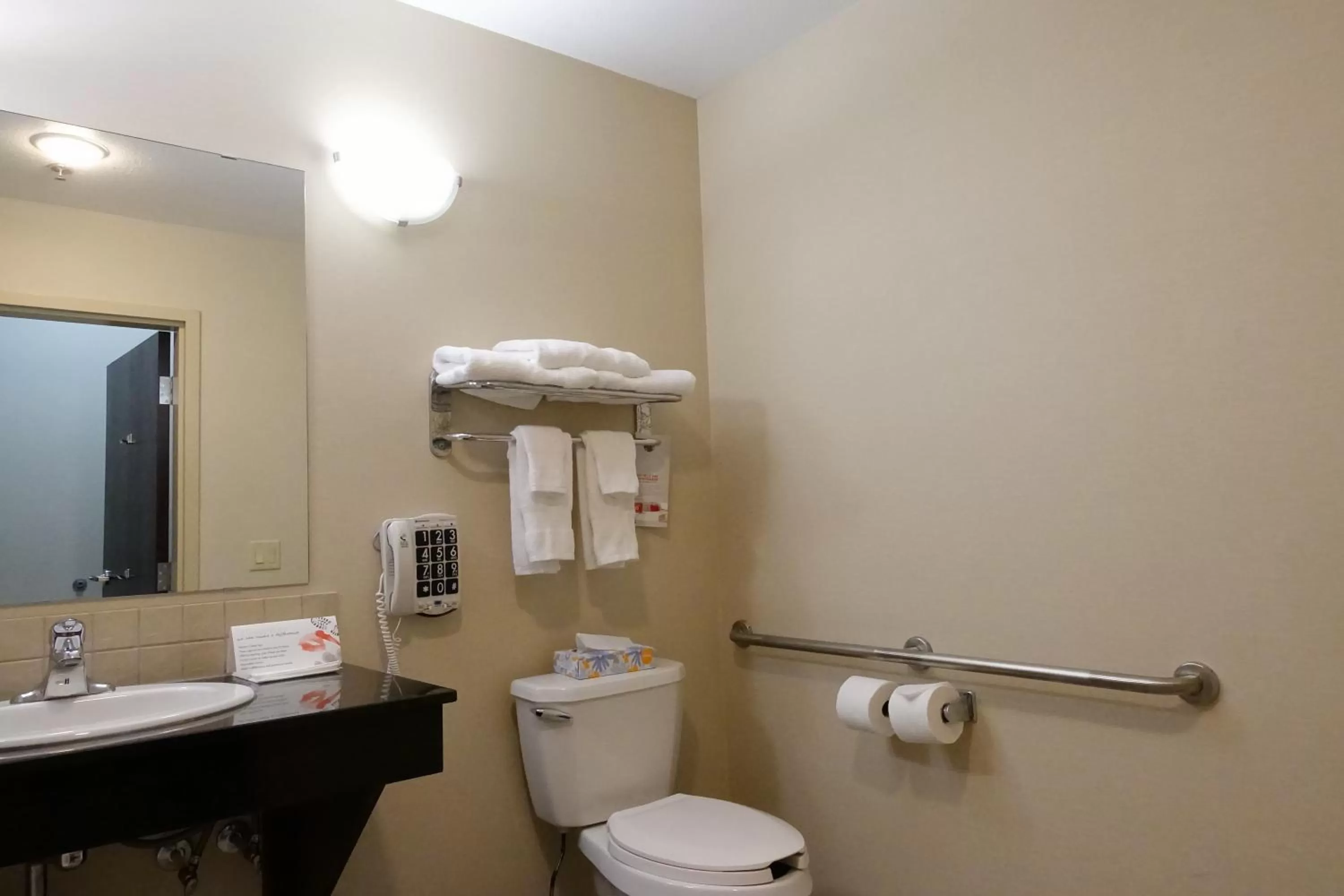 King Pet-Friendly Room with One King Bed and Roll-In Shower - Mobility Accessible - Non-Smoking in Ramada by Wyndham Weyburn