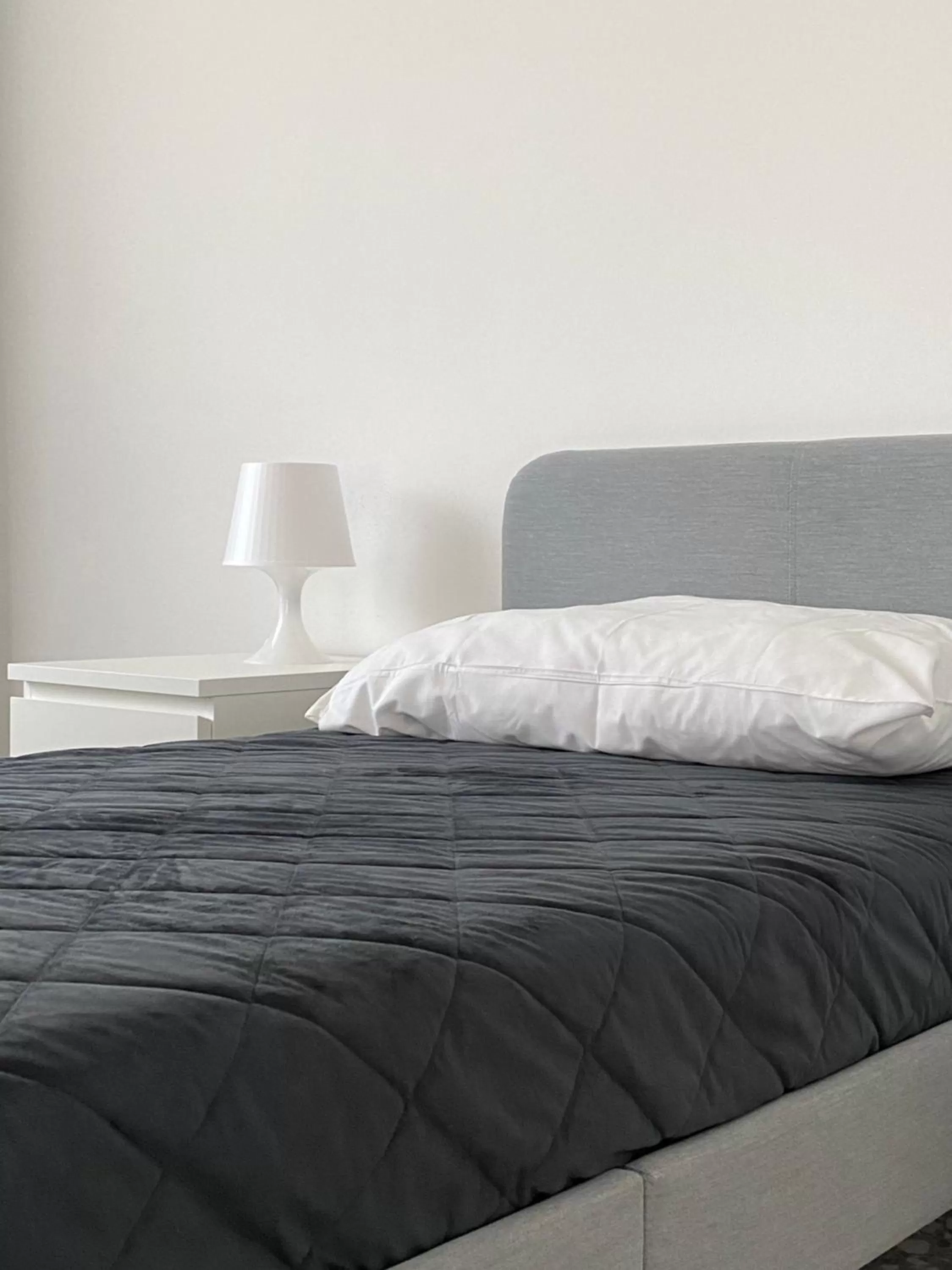 Large Double Room in Quintino Sella rooms