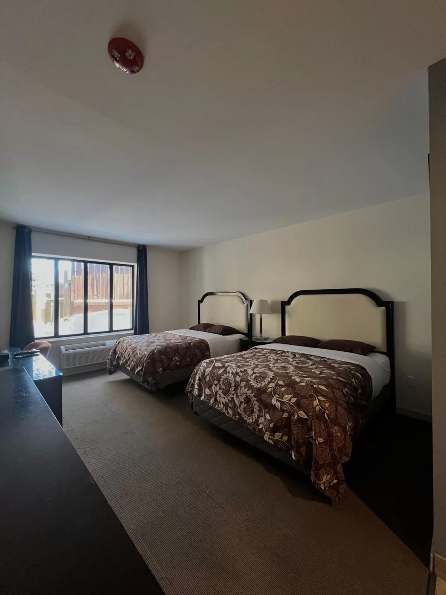 Deluxe Queen Room in Big Bird Inn Wawa, SureStay Collection by Best Western