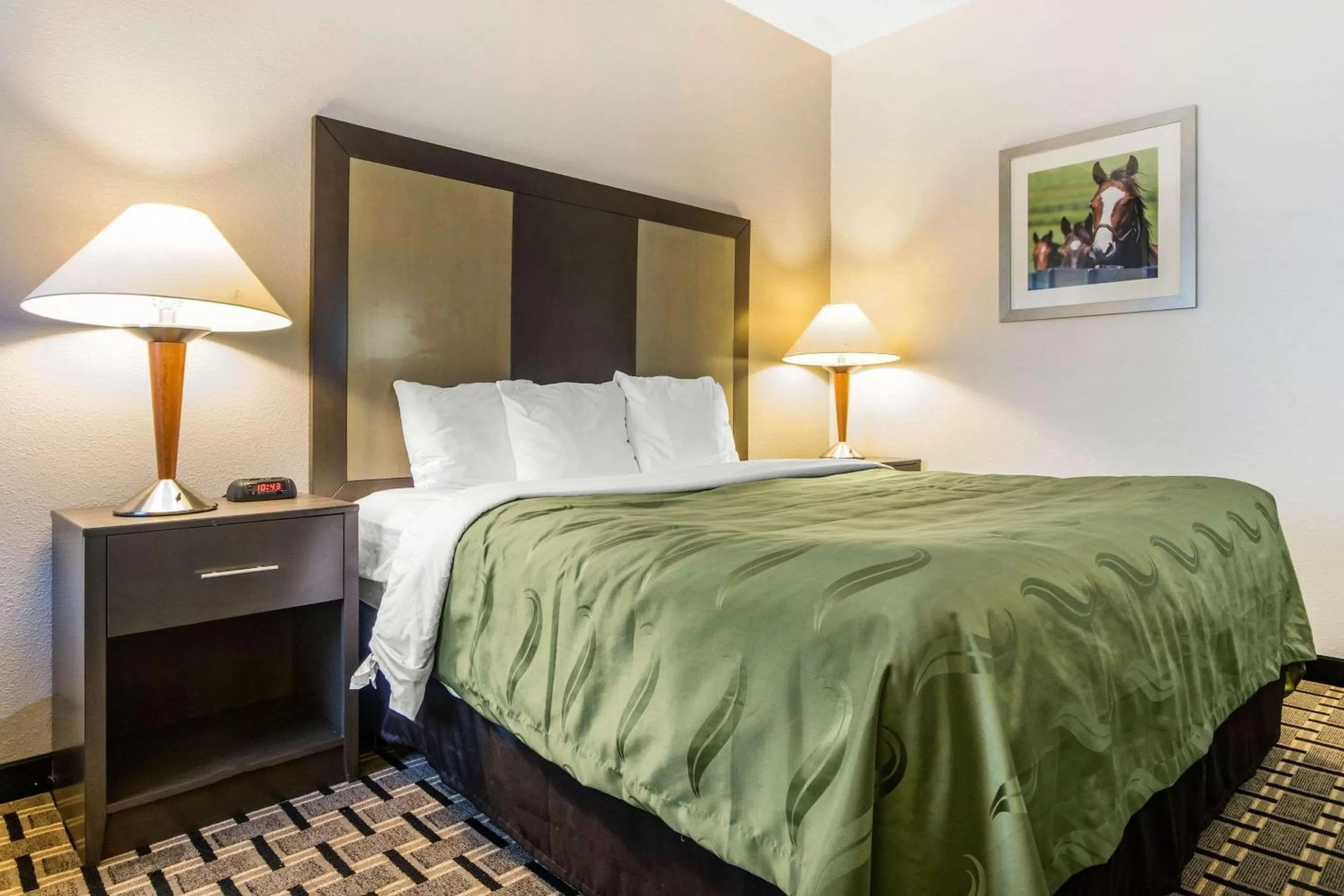 Quality Inn Lexington East Hamburg Area