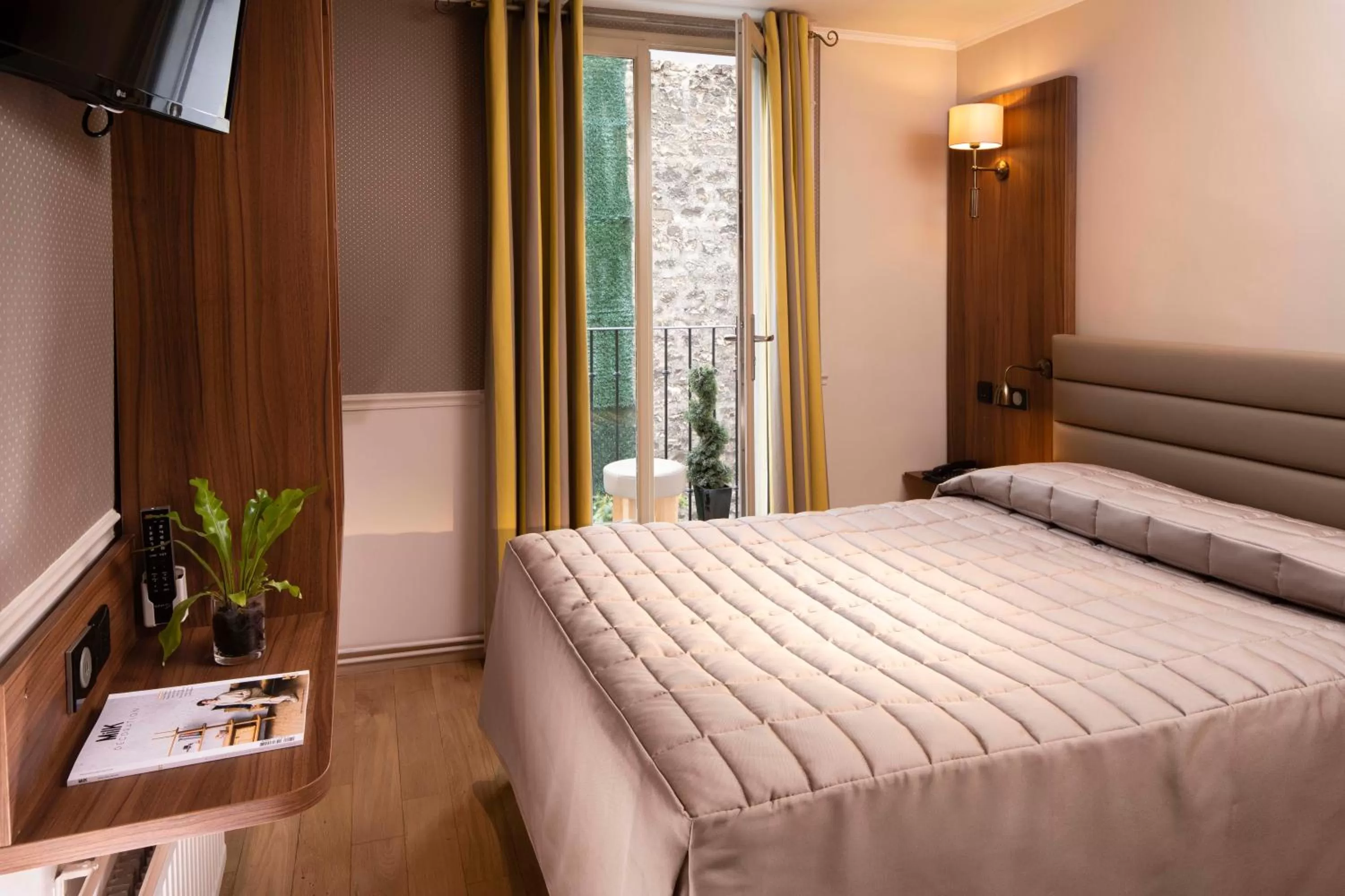 Double Room in Hôtel de la Tour Eiffel