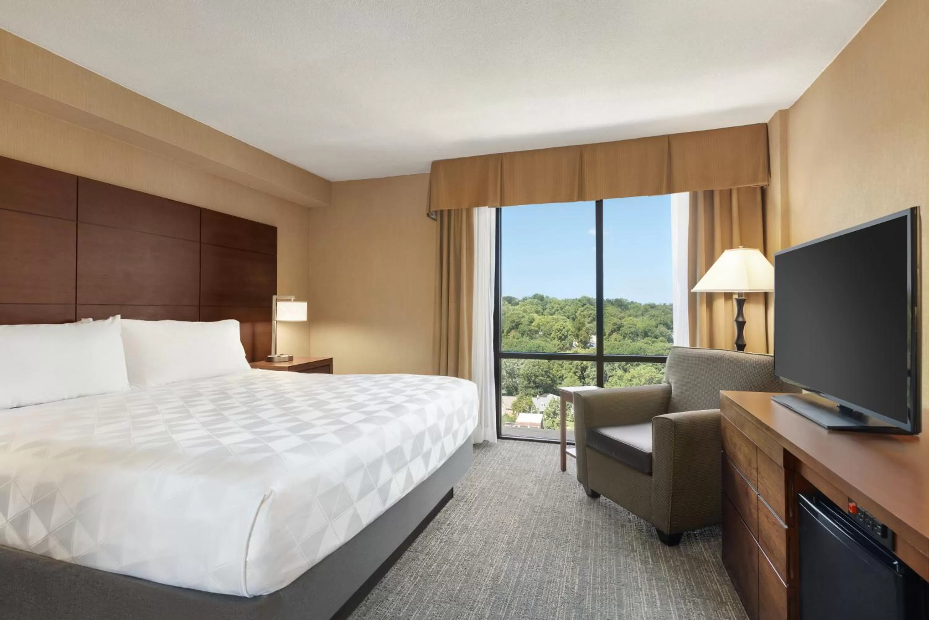 Holiday Inn National Airport/Crystal City by IHG