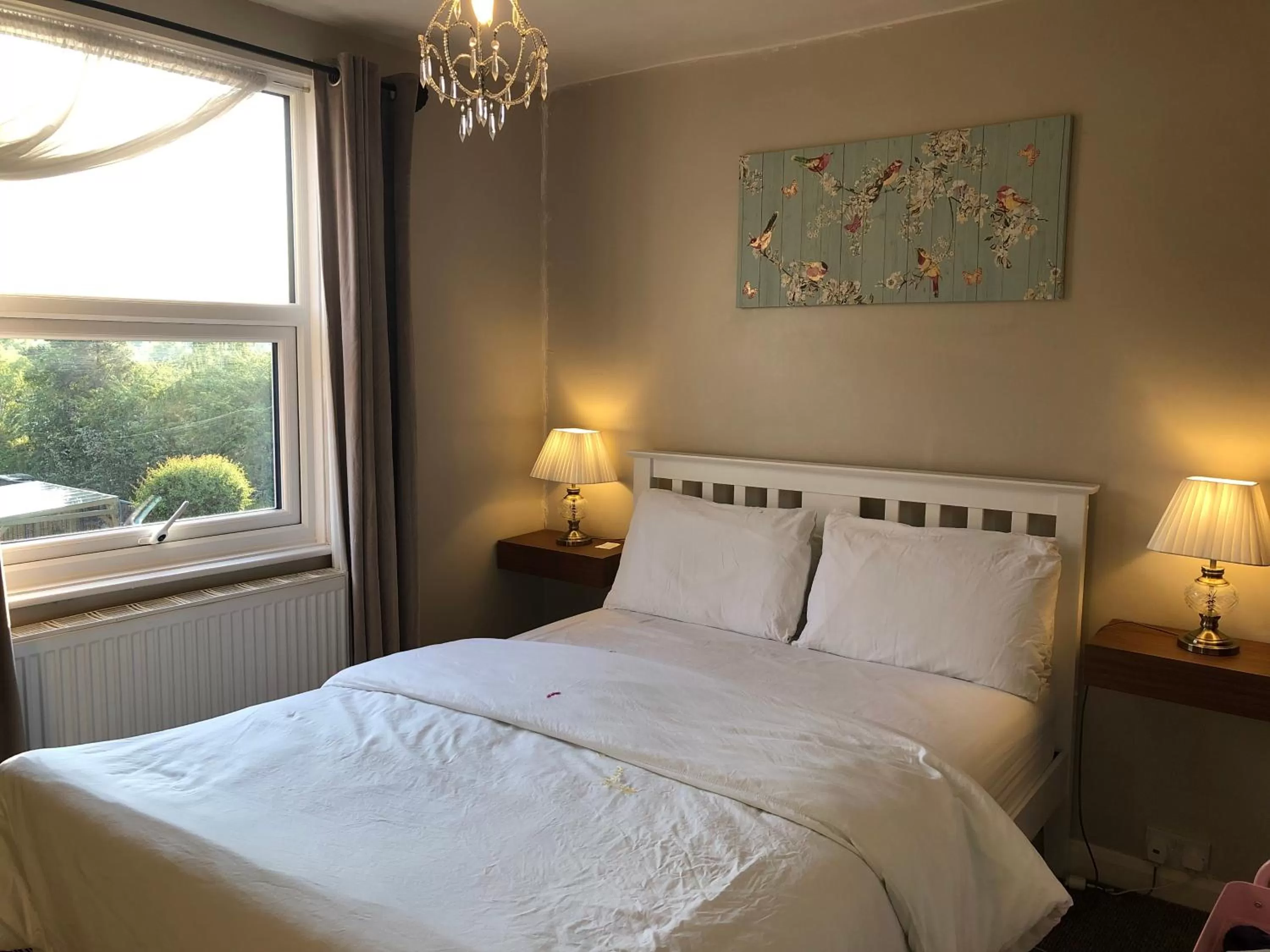 Standard Double Room in Carena House