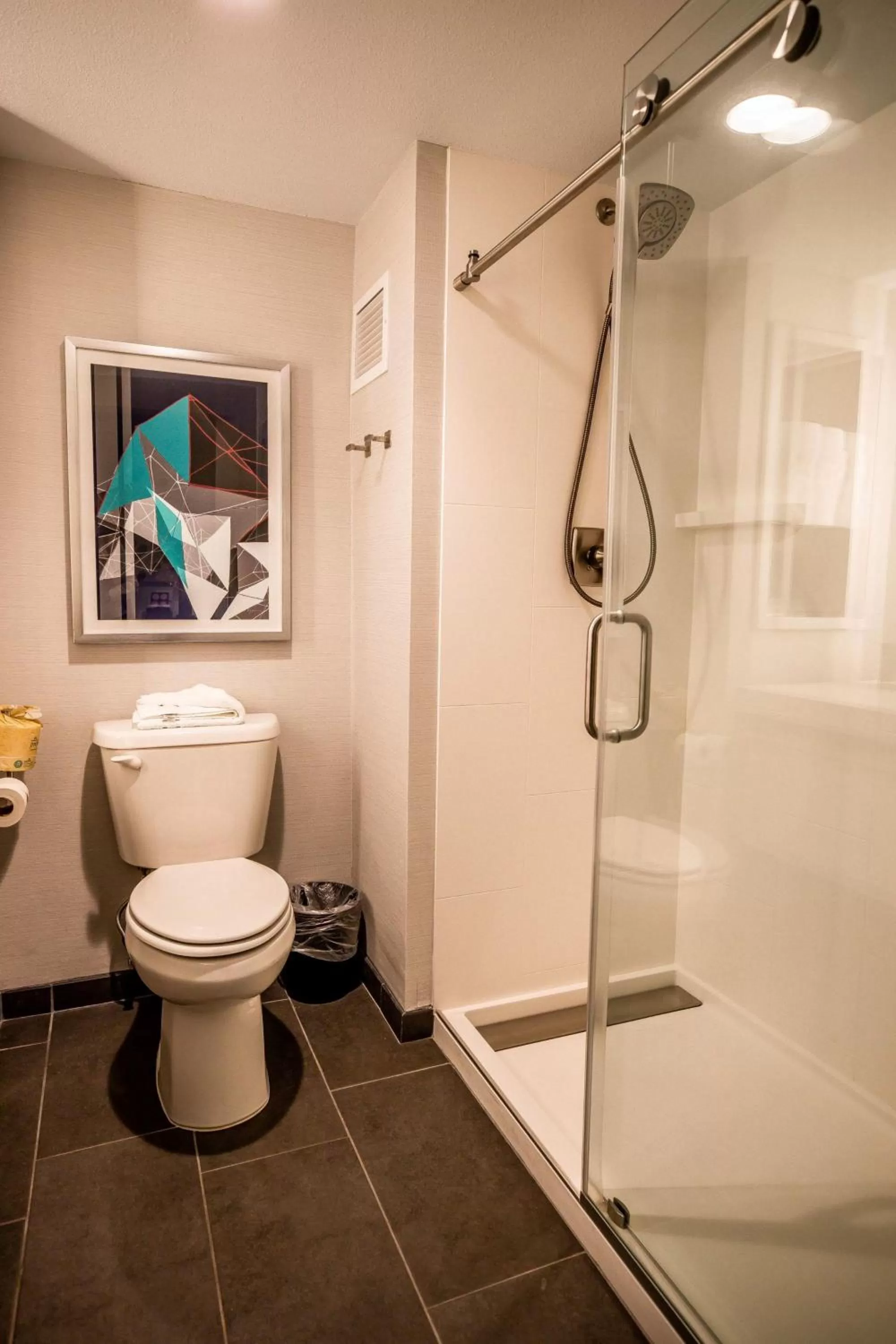 Standard King Room with Walk In Shower and City View in Hotel Indigo Harrisburg - Hershey by IHG