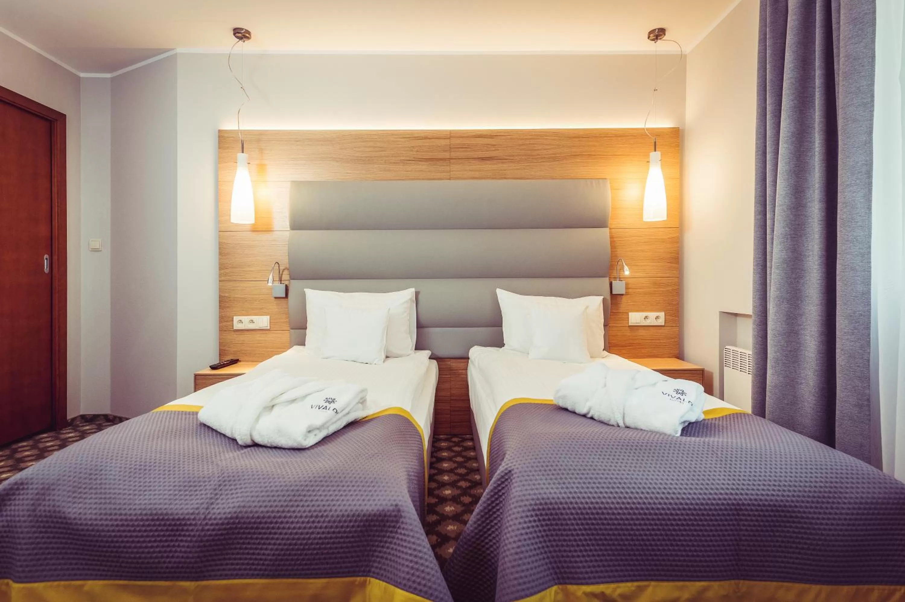 Business Double or Twin Room in Hotel Vivaldi