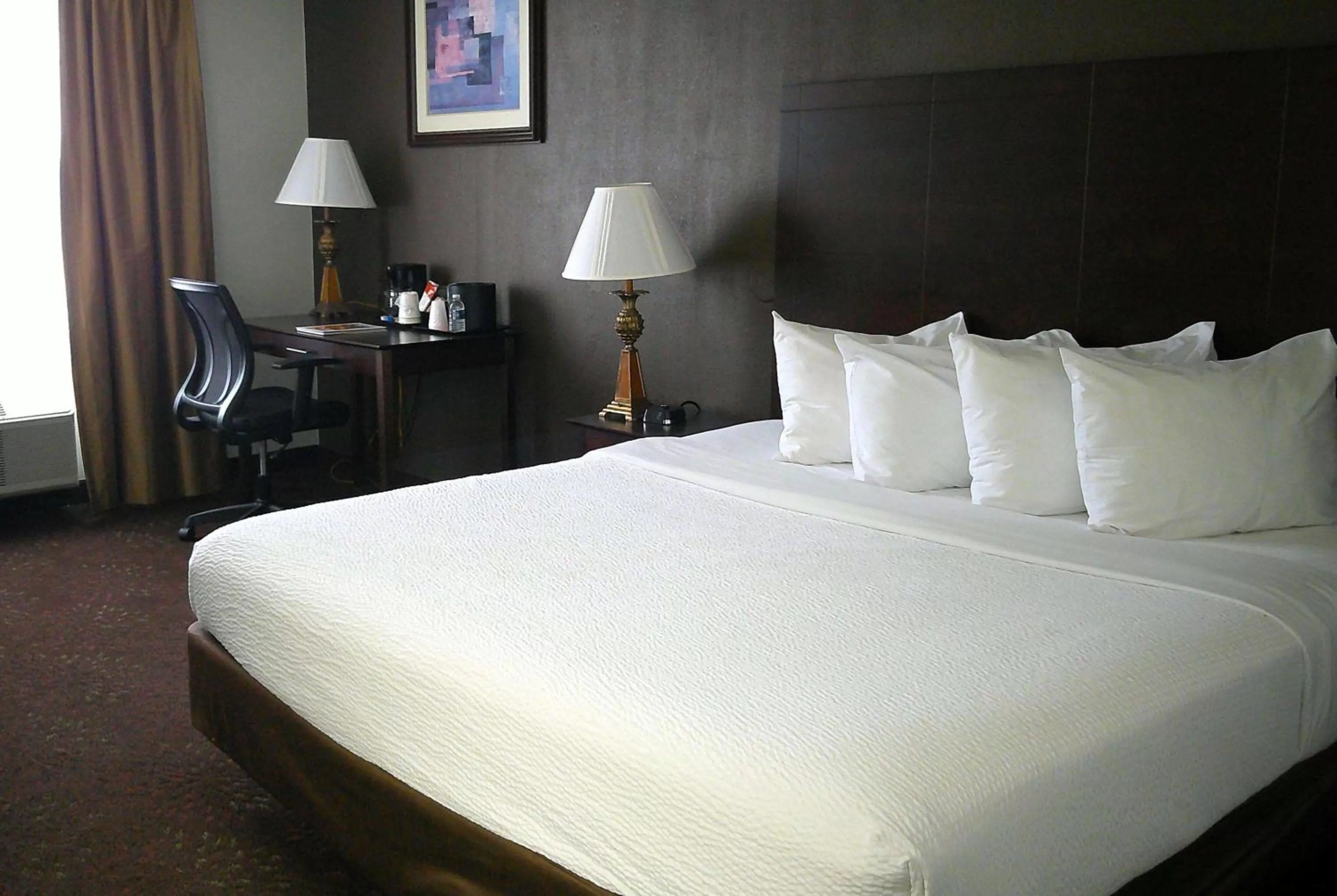 Atrium King Room - Non-Smoking in Wyndham Garden Detroit Metro Airport