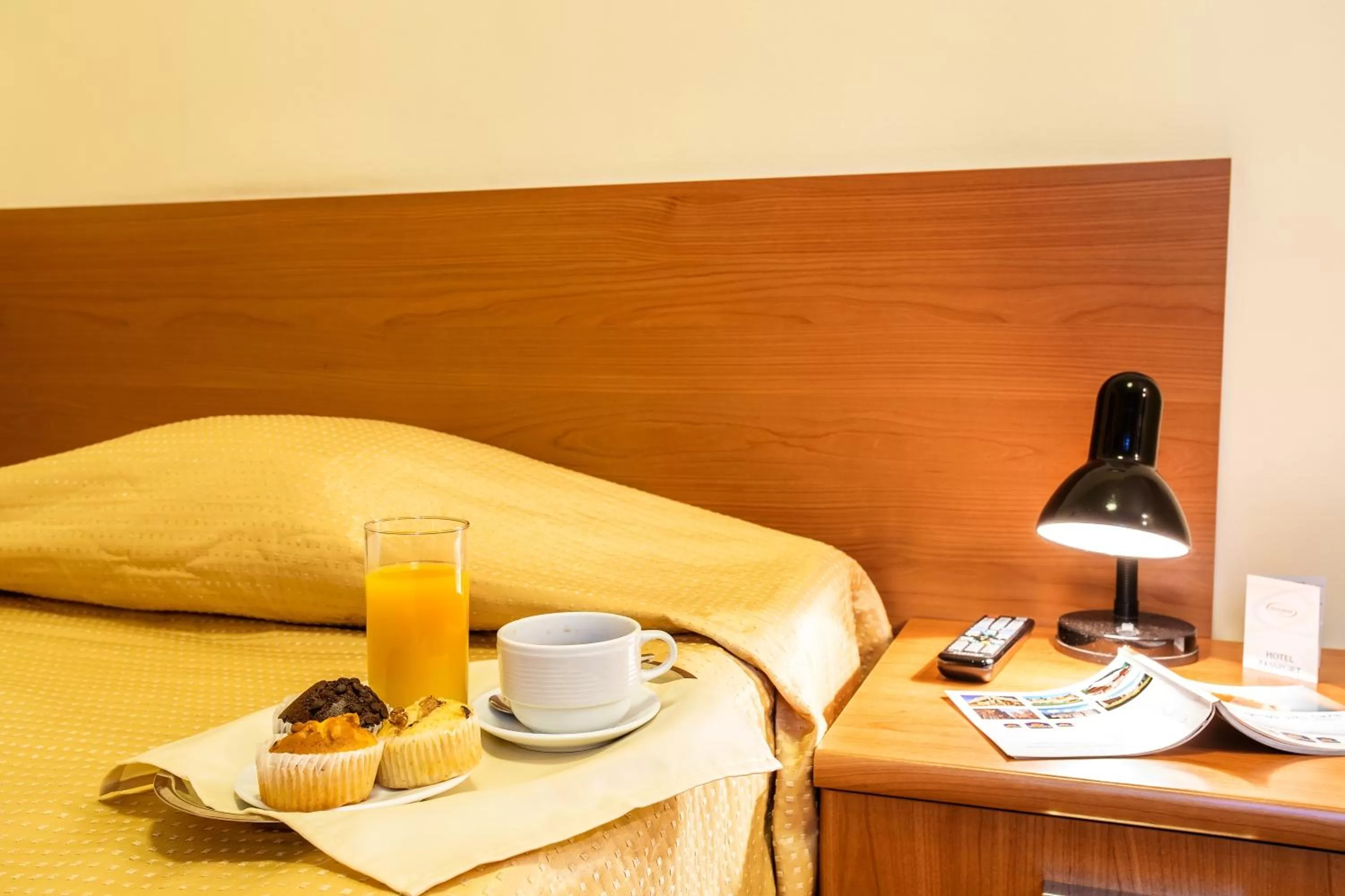 Single Room in Europe Hotel