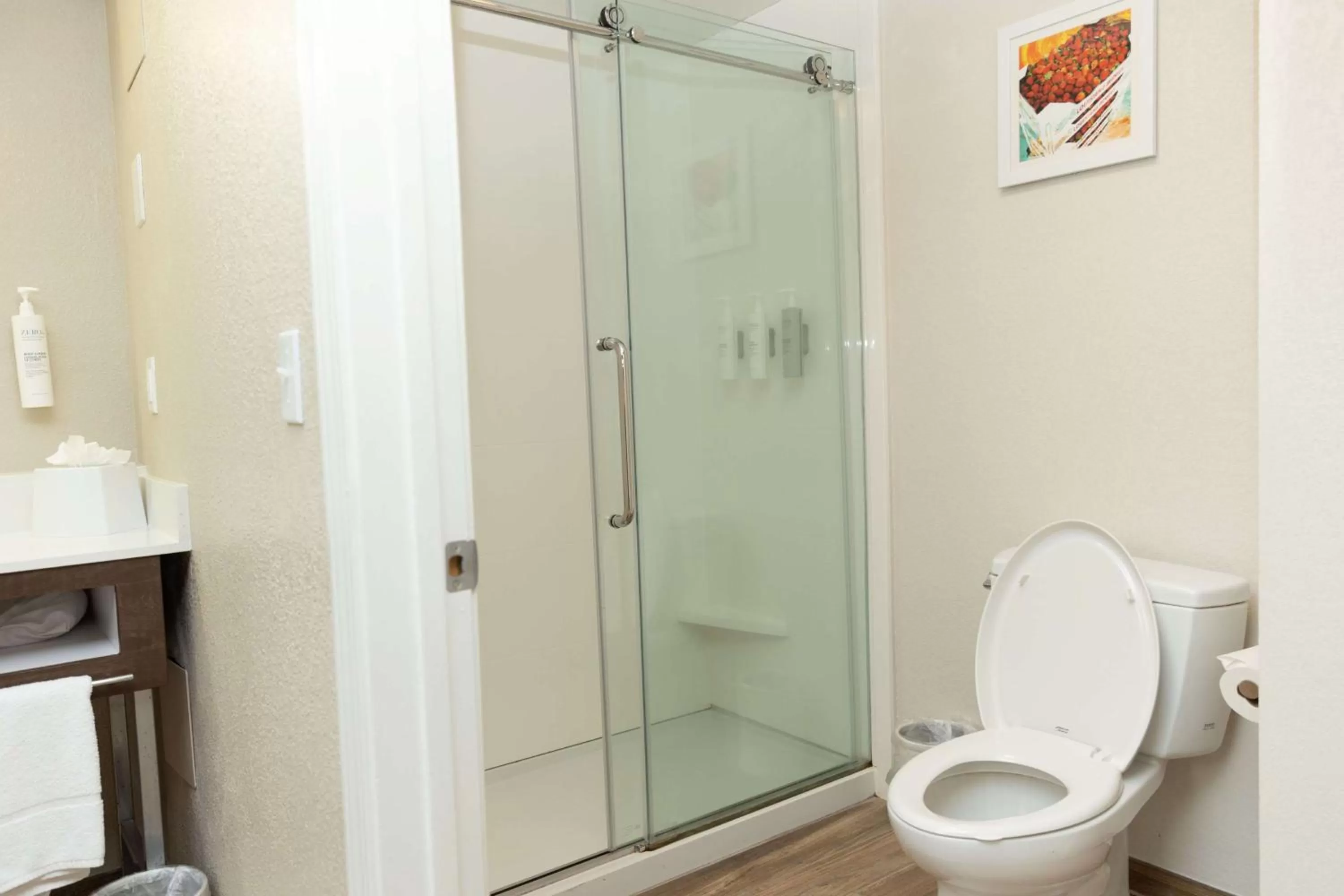 King Suite with Sofa Bed in Hampton Inn Hammond