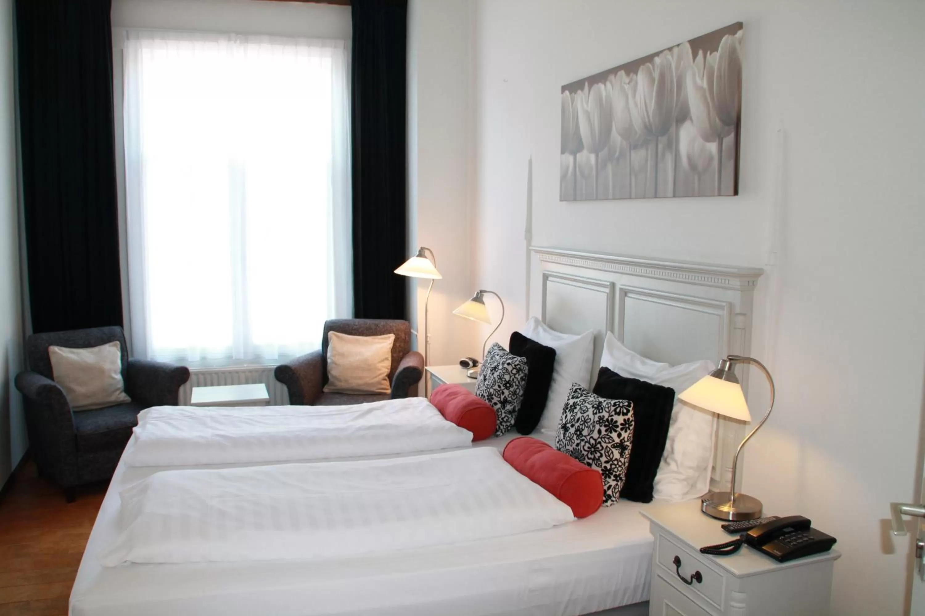 Deluxe Twin Room - single occupancy in De Doelen