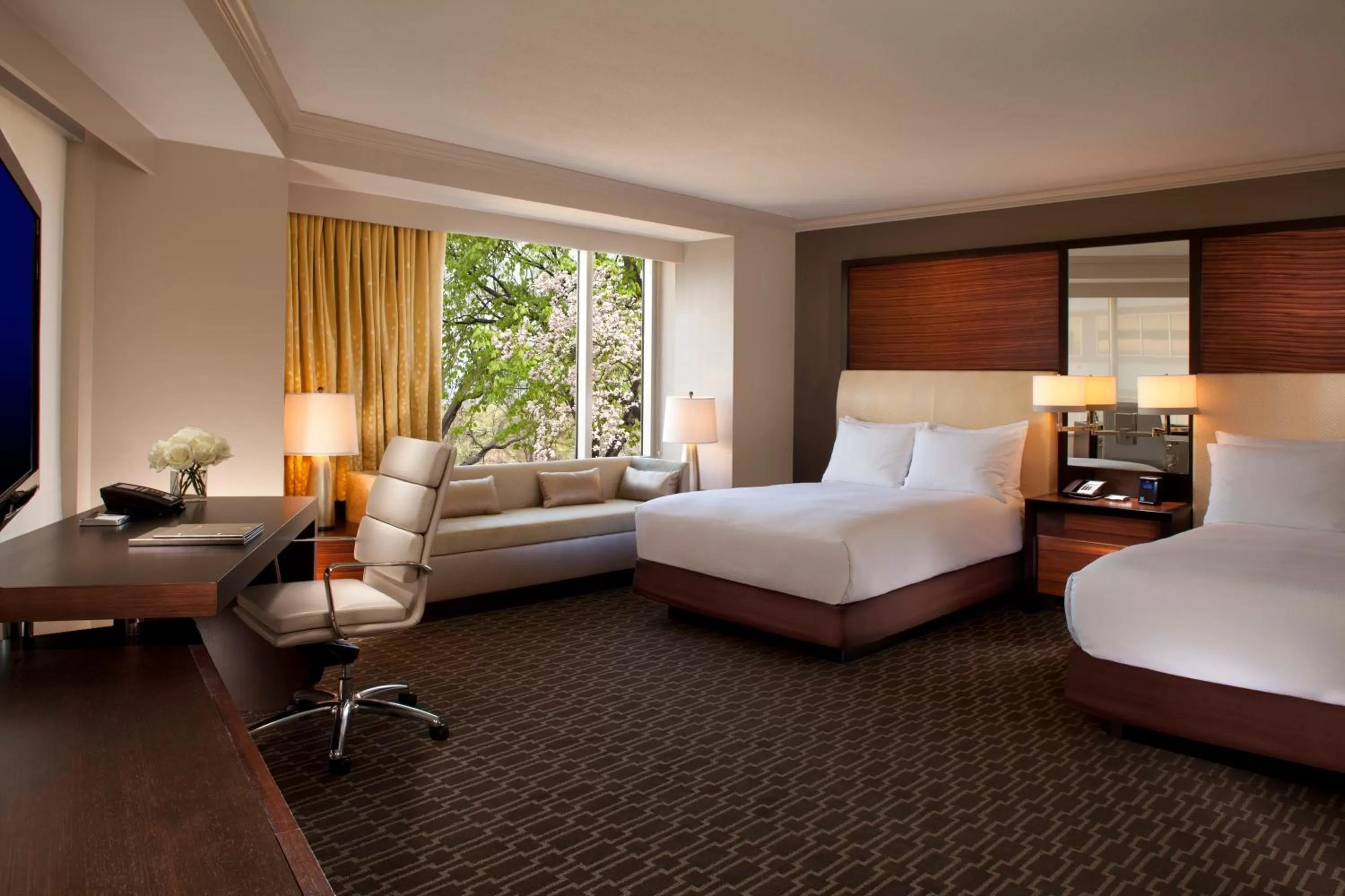 Deluxe Studio Suite with Two Double Beds in Hilton McLean Tysons Corner