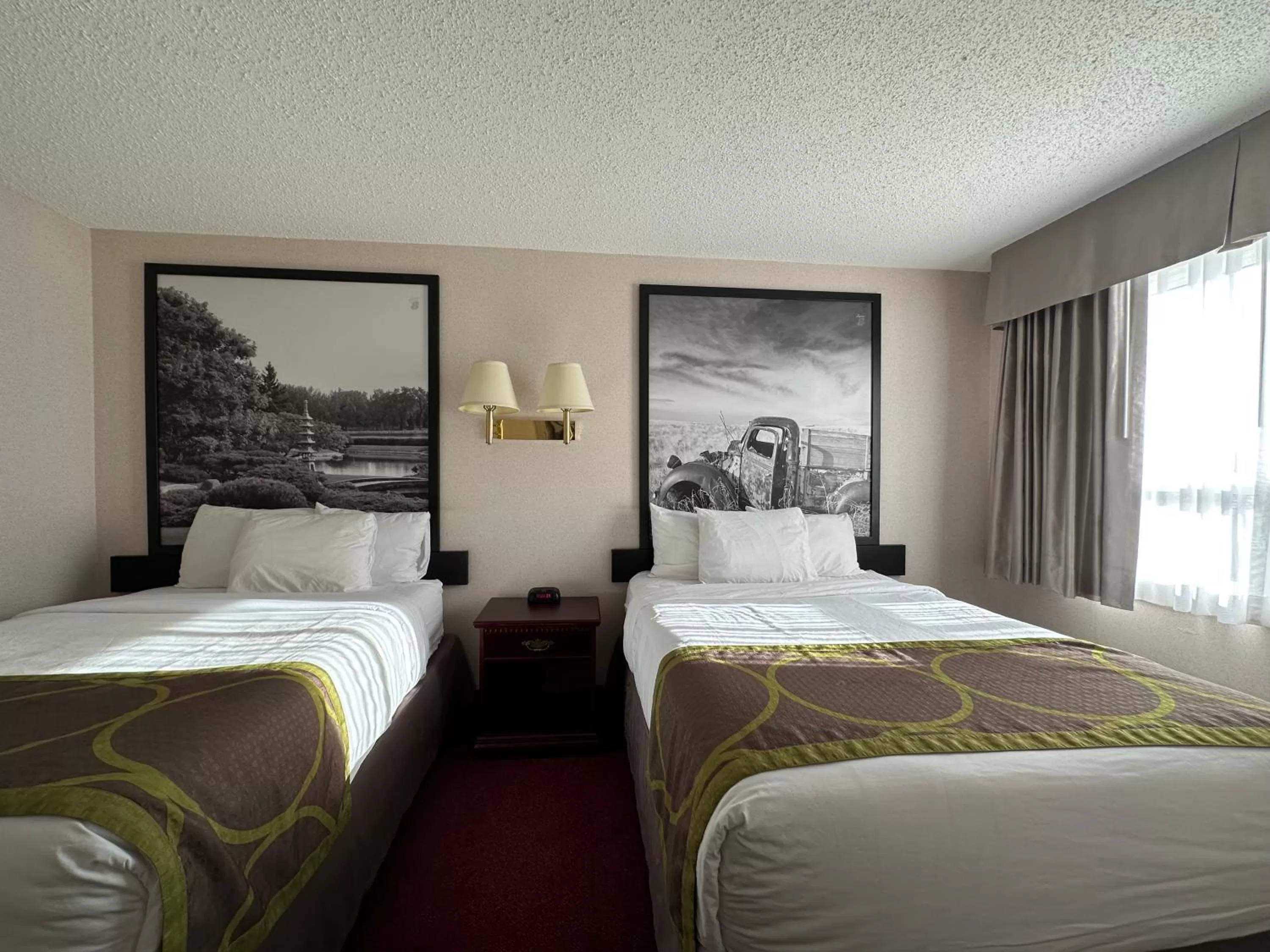 Deluxe Double Room with Two Double Beds - Pet Friendly - Non-Smoking in Super 8 by Wyndham Lethbridge