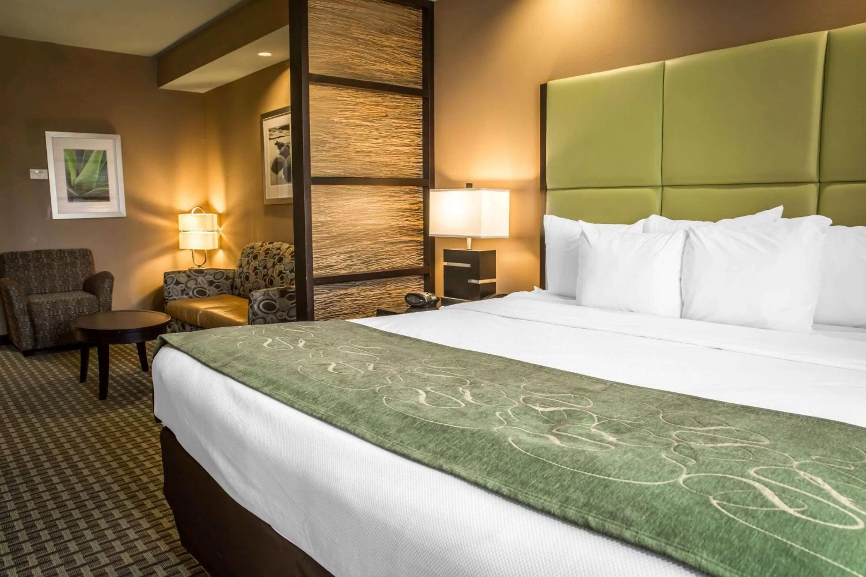 King Suite - Non-Smoking in Comfort Suites New Bern near Cherry Point