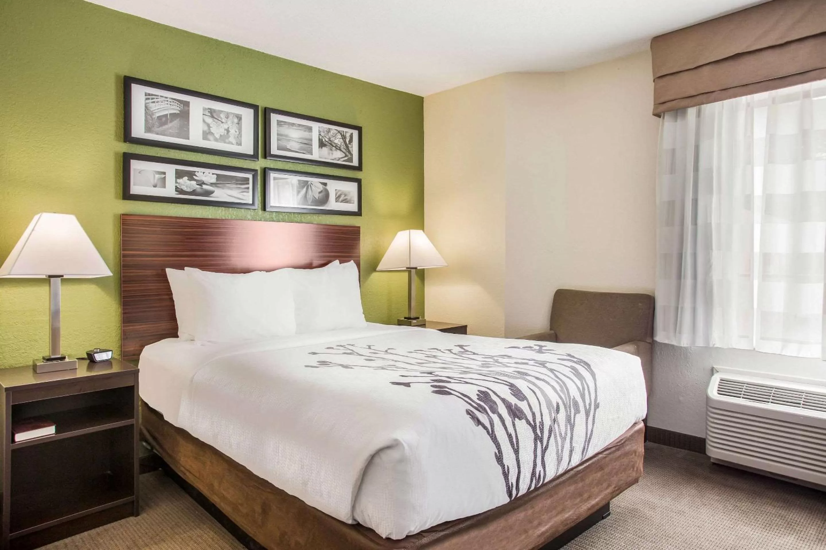 Queen Room - Non-Smoking in Sleep Inn Kansas City International Airport