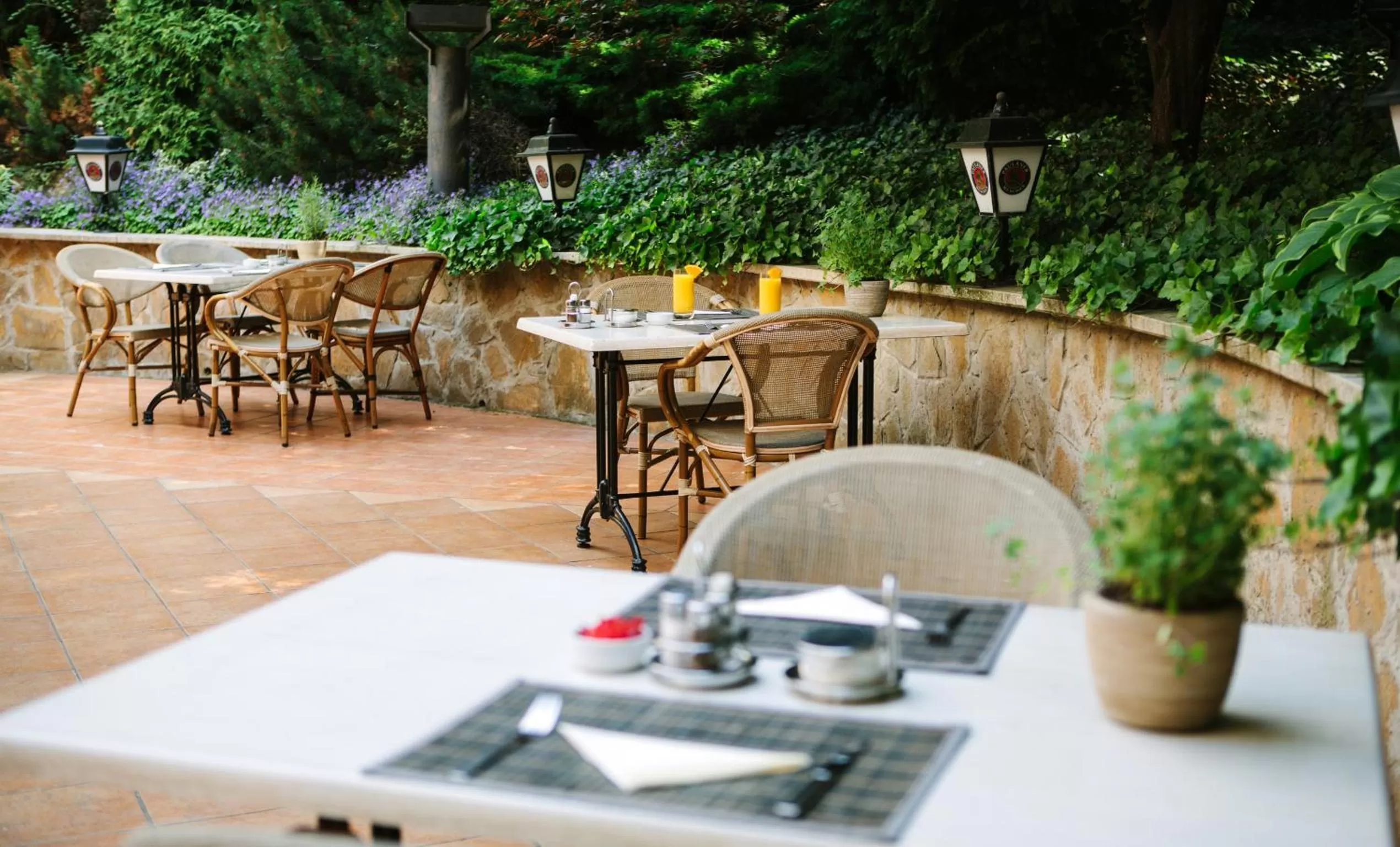 Garden in Hotel Mediterran