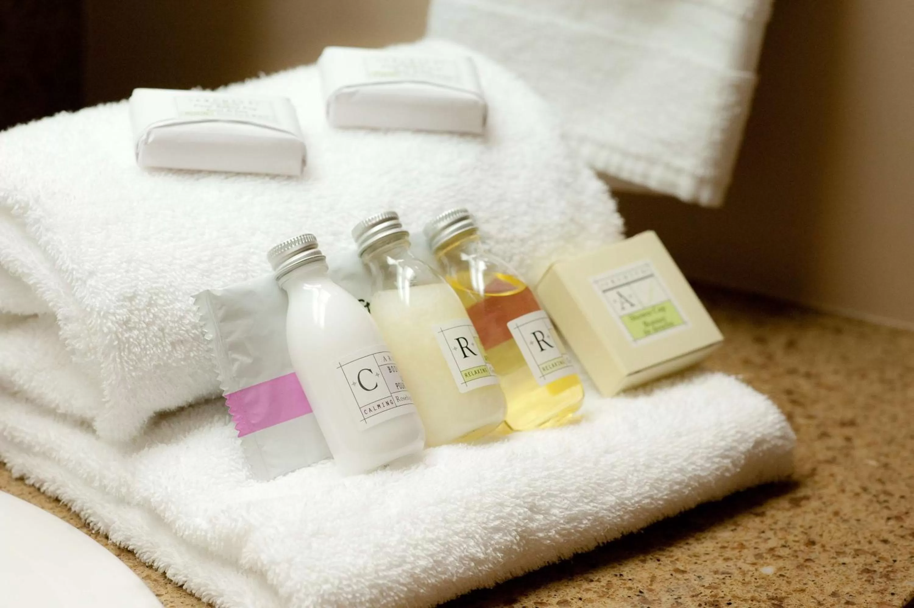 Queen Room with Two Queen Beds - Disability Access/Non-Smoking in Best Western Plus Mont-Laurier