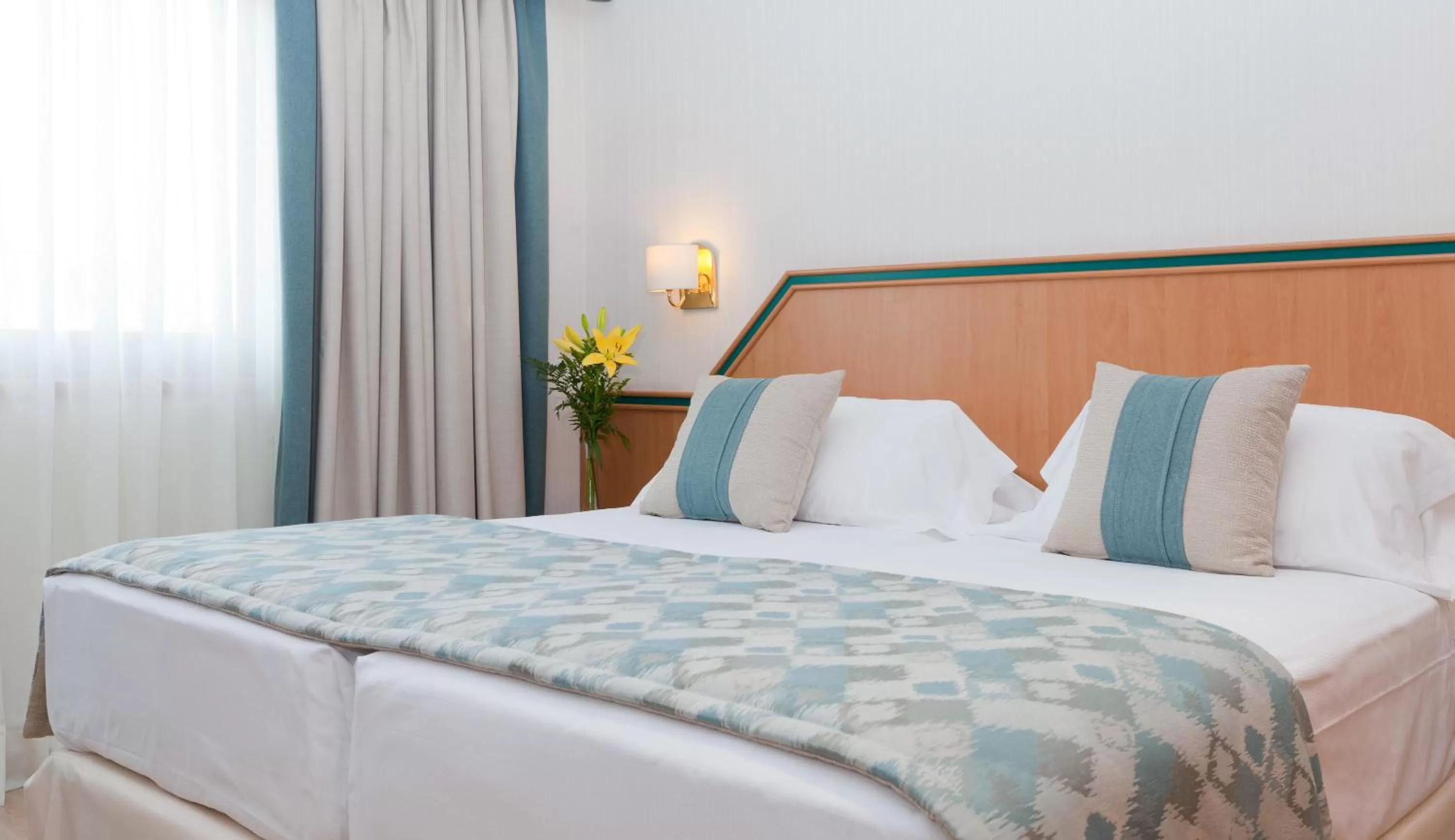 Double or Twin Room in Hotel Praga