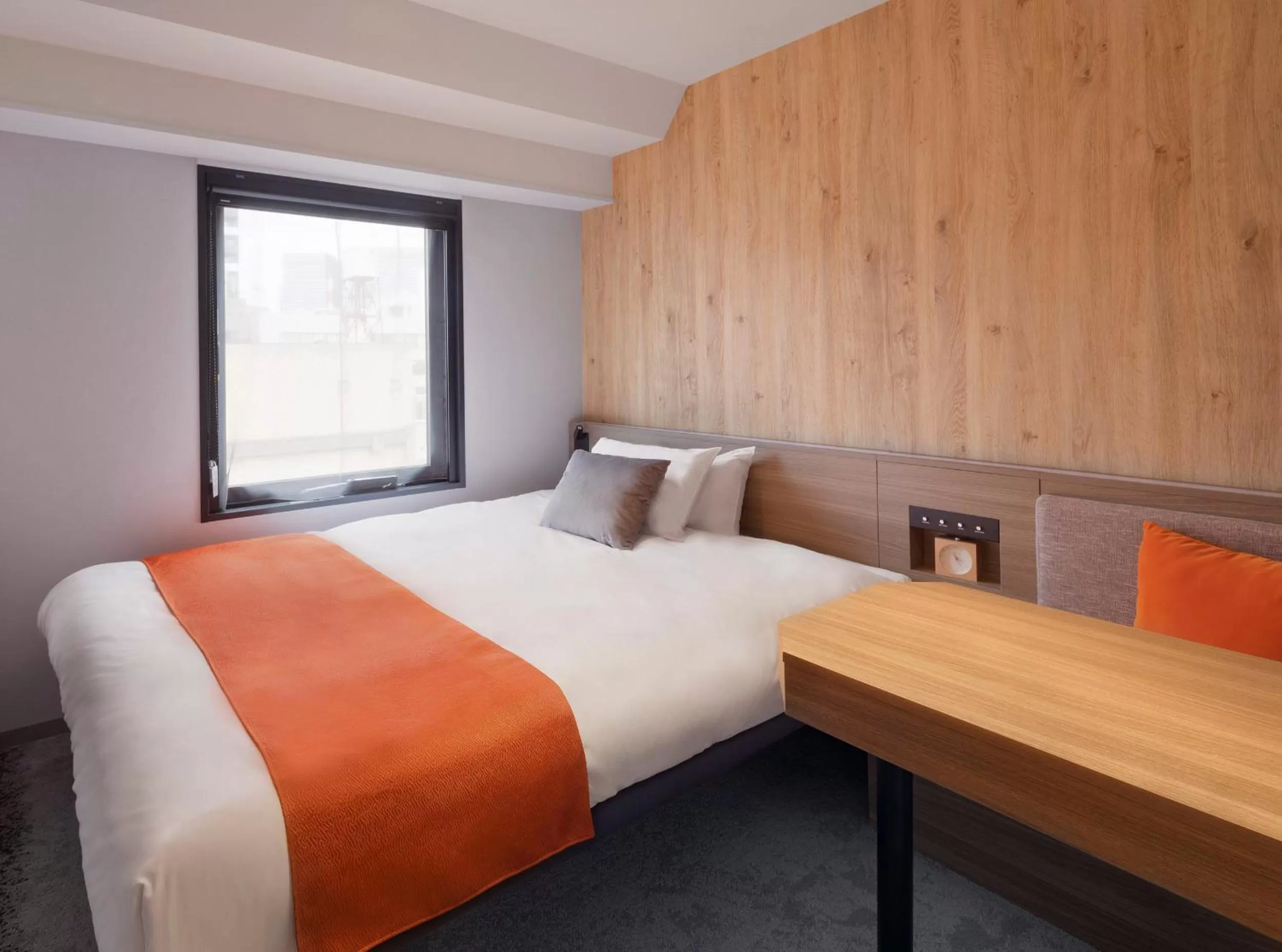 Double Room - single occupancy in the b ochanomizu