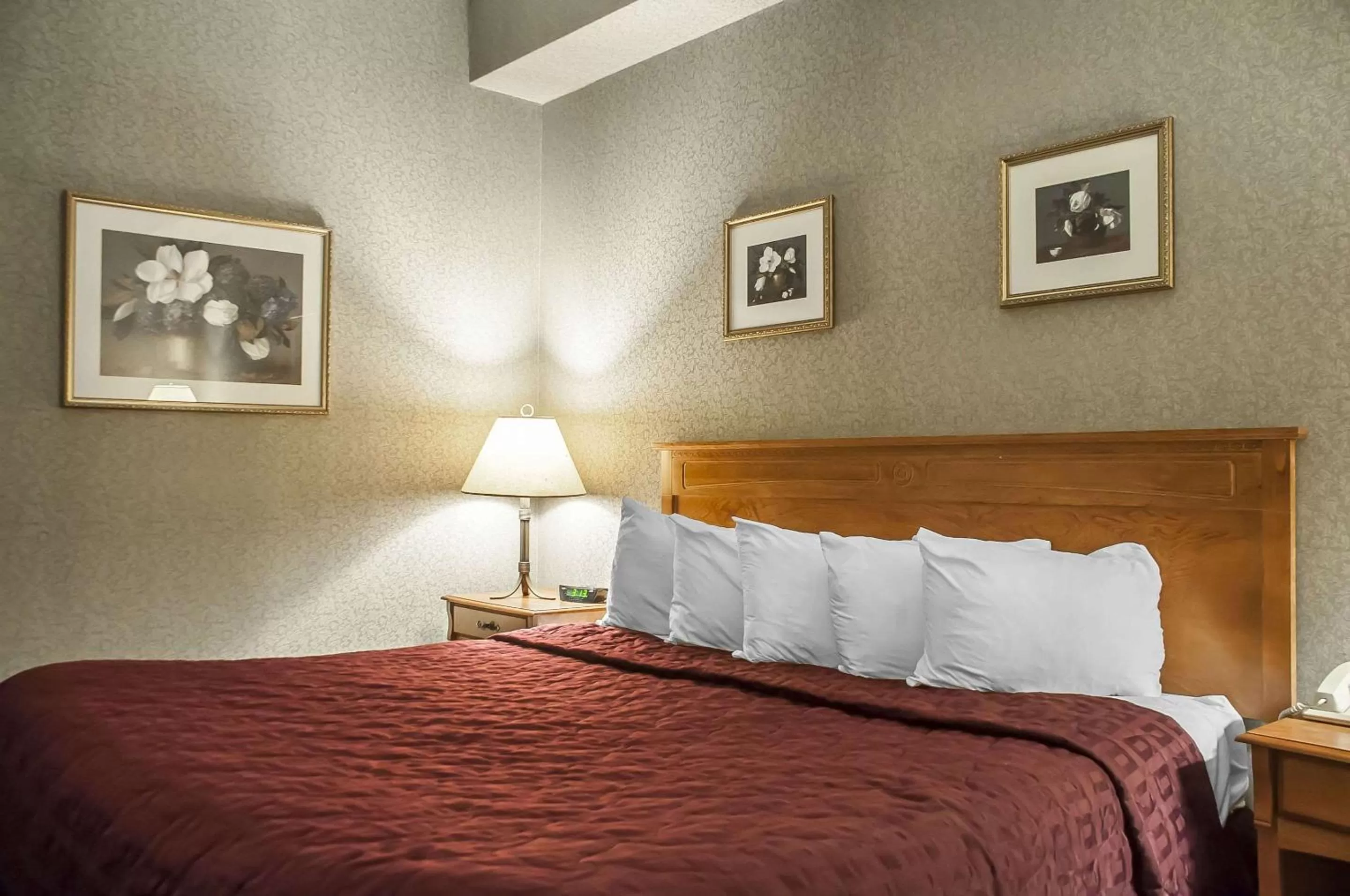 Comfort Inn Lundy's Lane