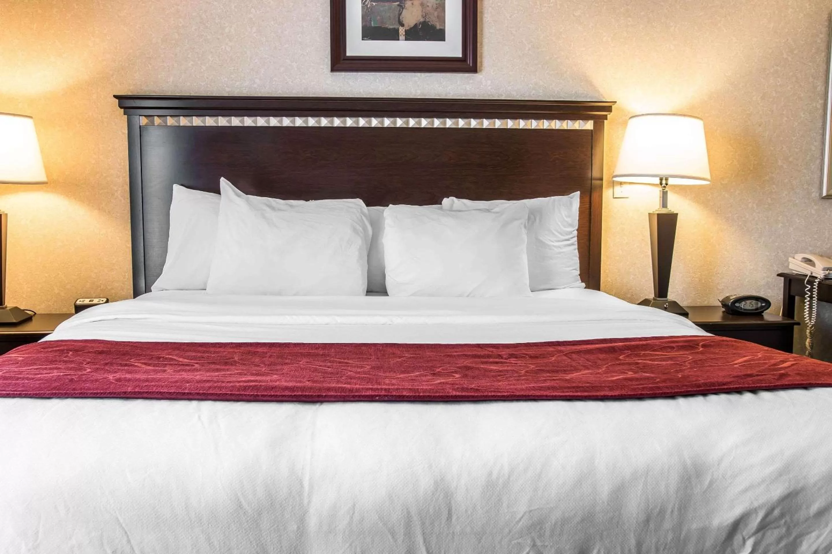  Efficiency King Suite with Fireplace- Non-Smoking in Comfort Suites Canton - Detroit