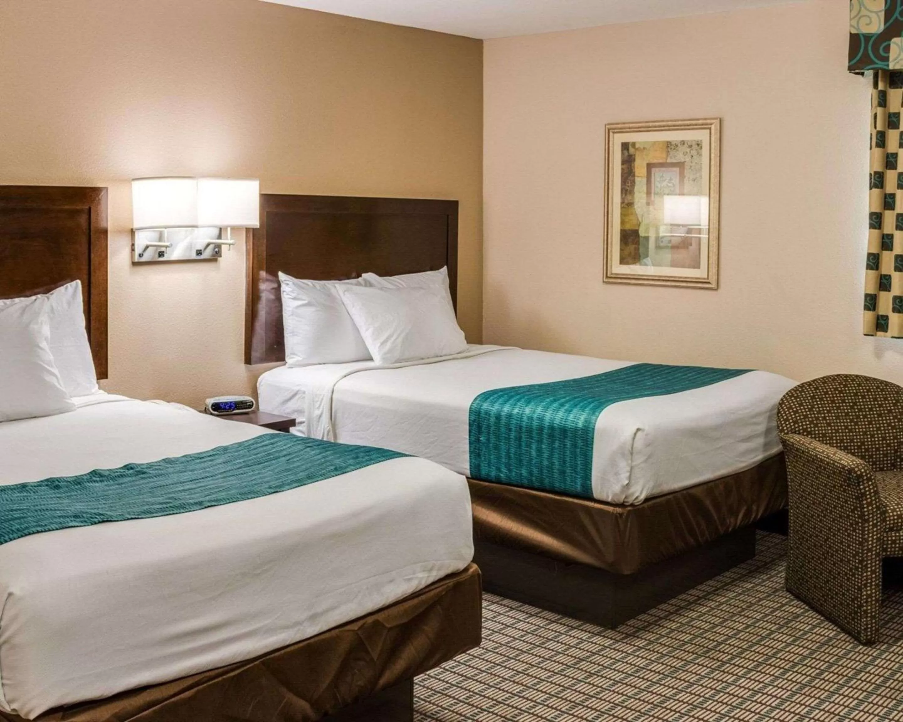 Double Room - Disability Access/Non-Smoking in Suburban Studios Avondale