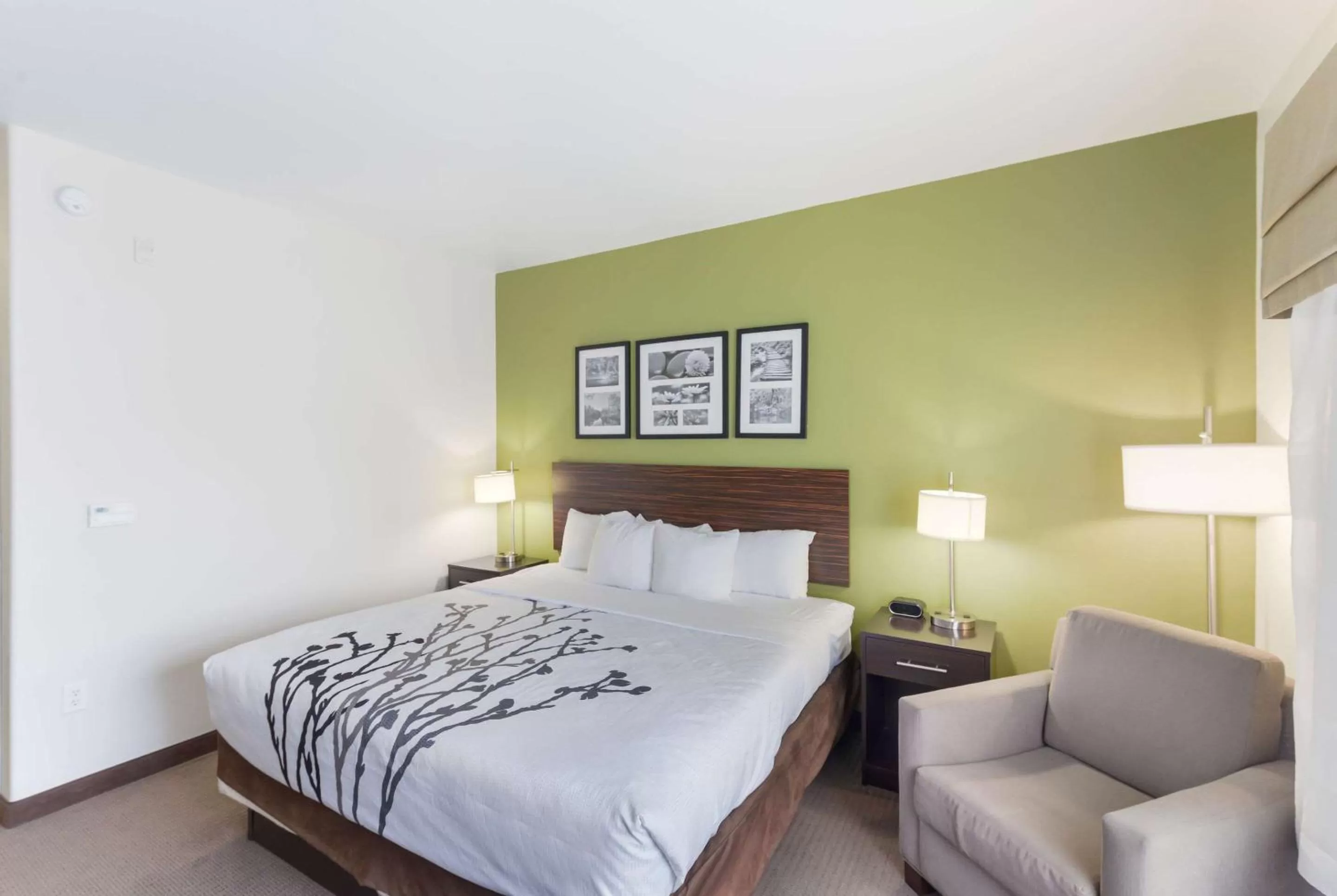 King Room with Whirlpool - Non-Smoking in Sleep Inn & Suites Midland West