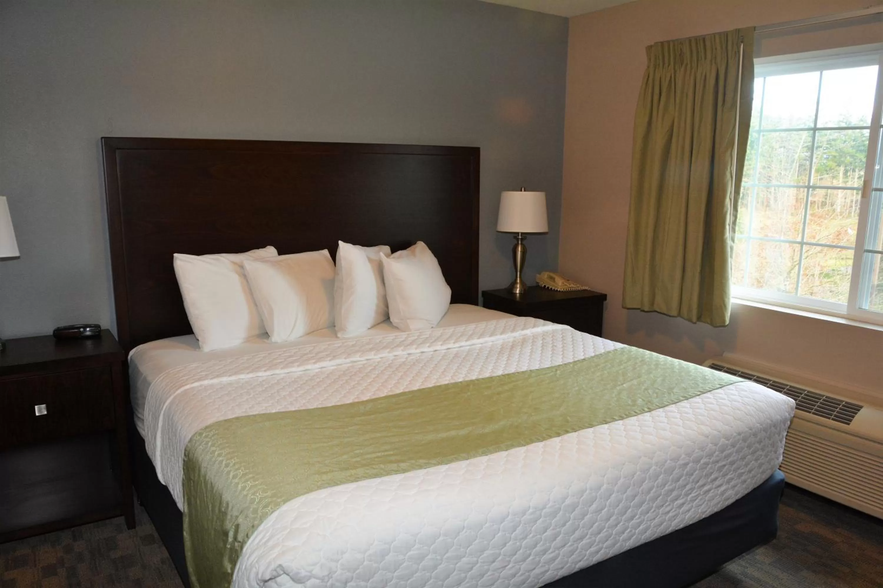One-Bedroom Suite - Non-Smoking in FairBridge Inn & Suites DuPont